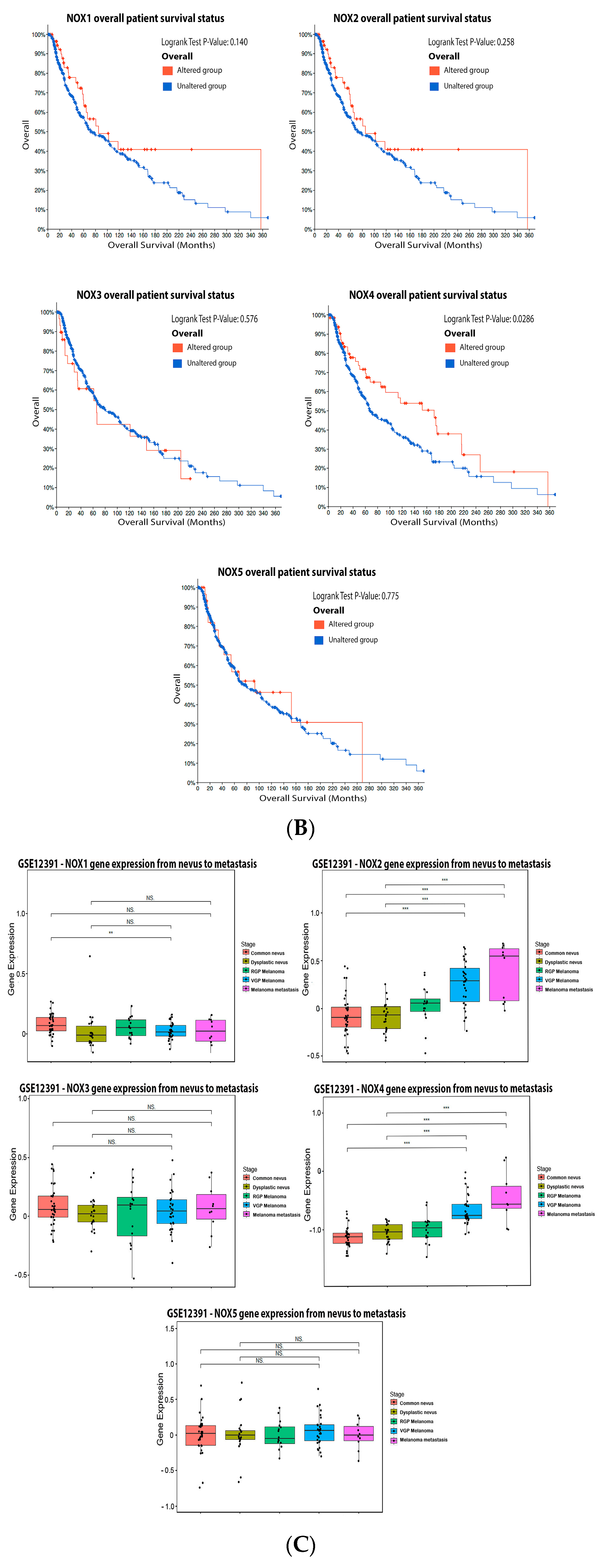 Antioxidants 11 00438 g002b