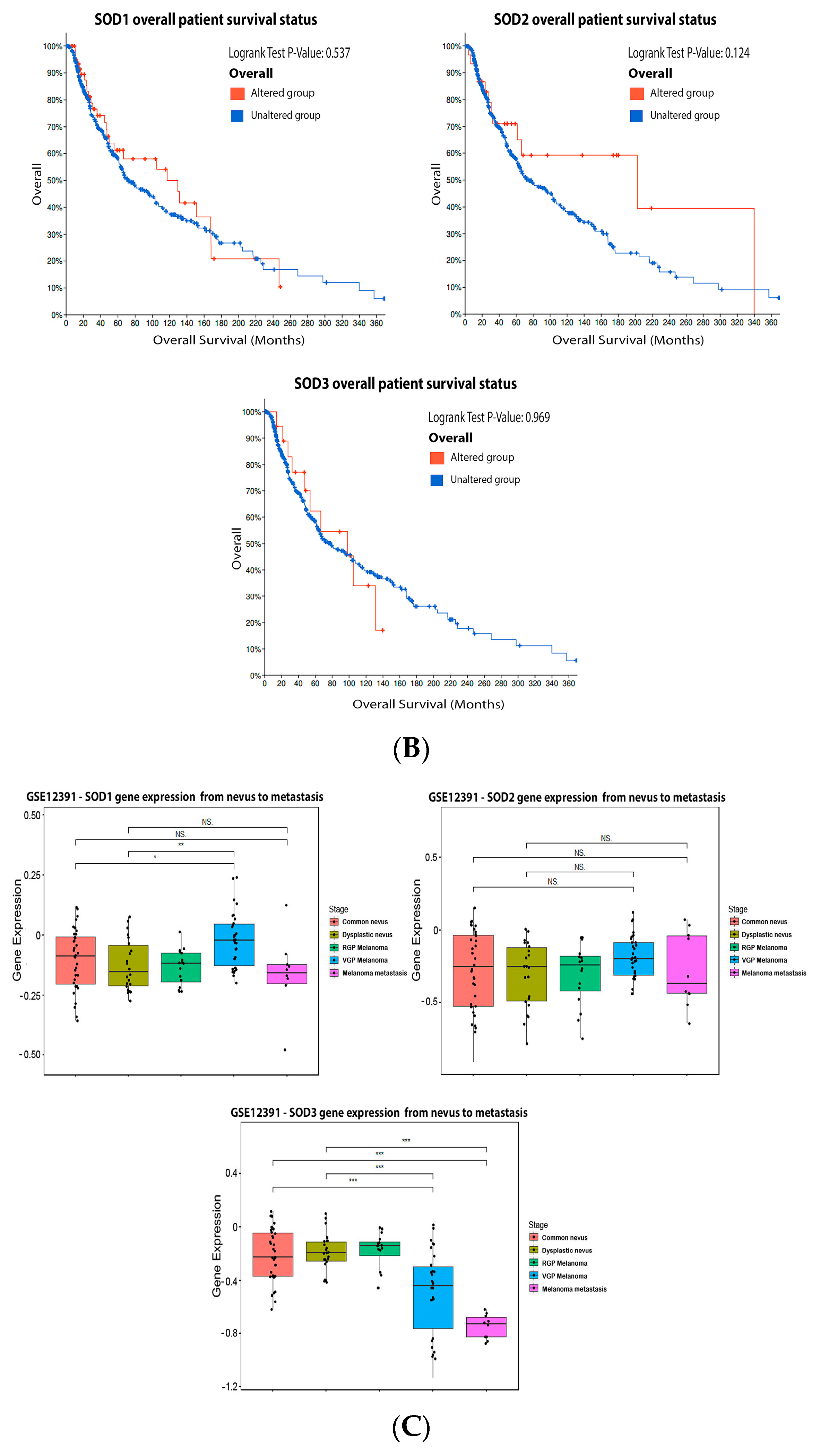 Antioxidants 11 00438 g003b