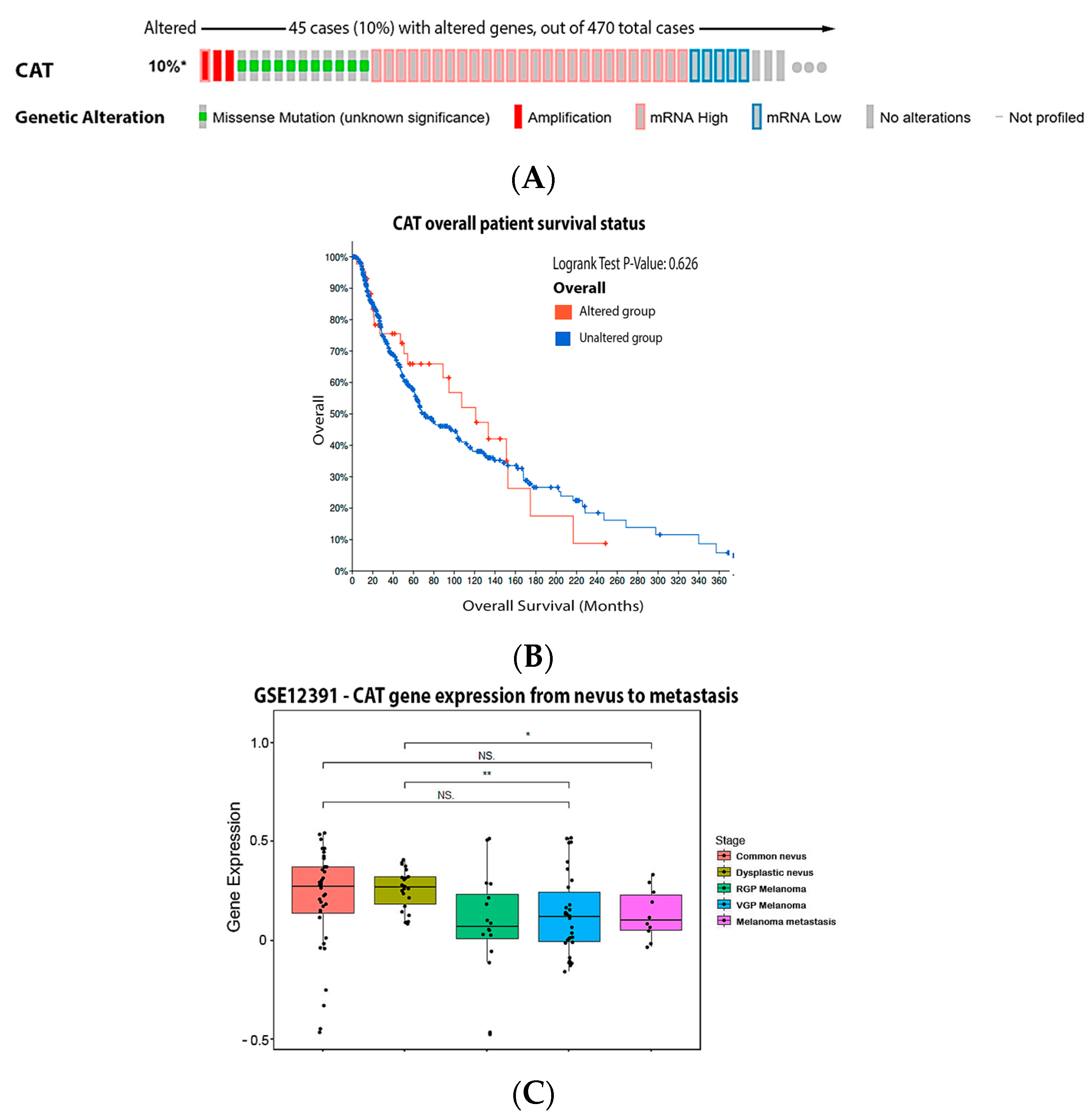 Antioxidants 11 00438 g004
