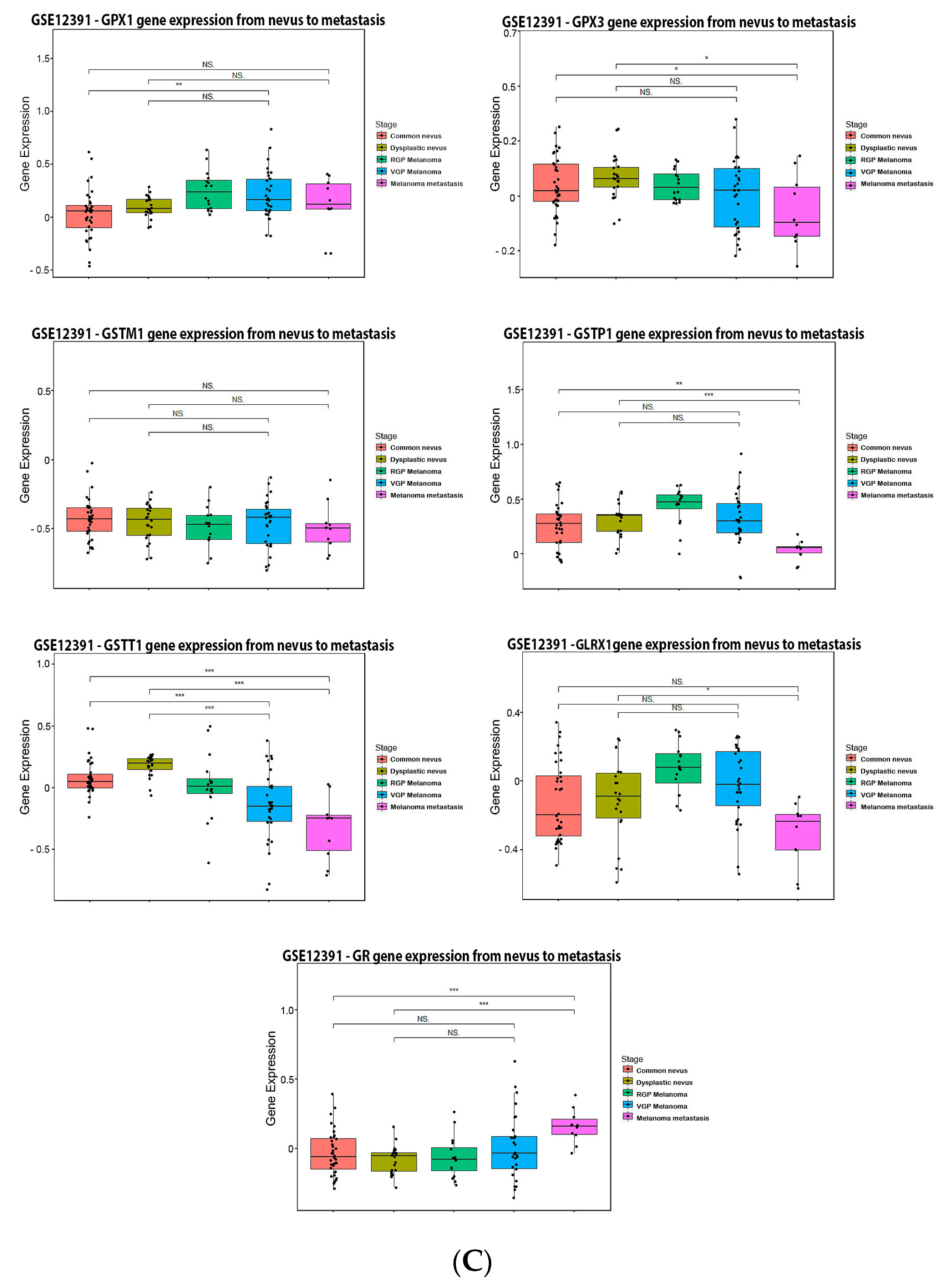 Antioxidants 11 00438 g005c