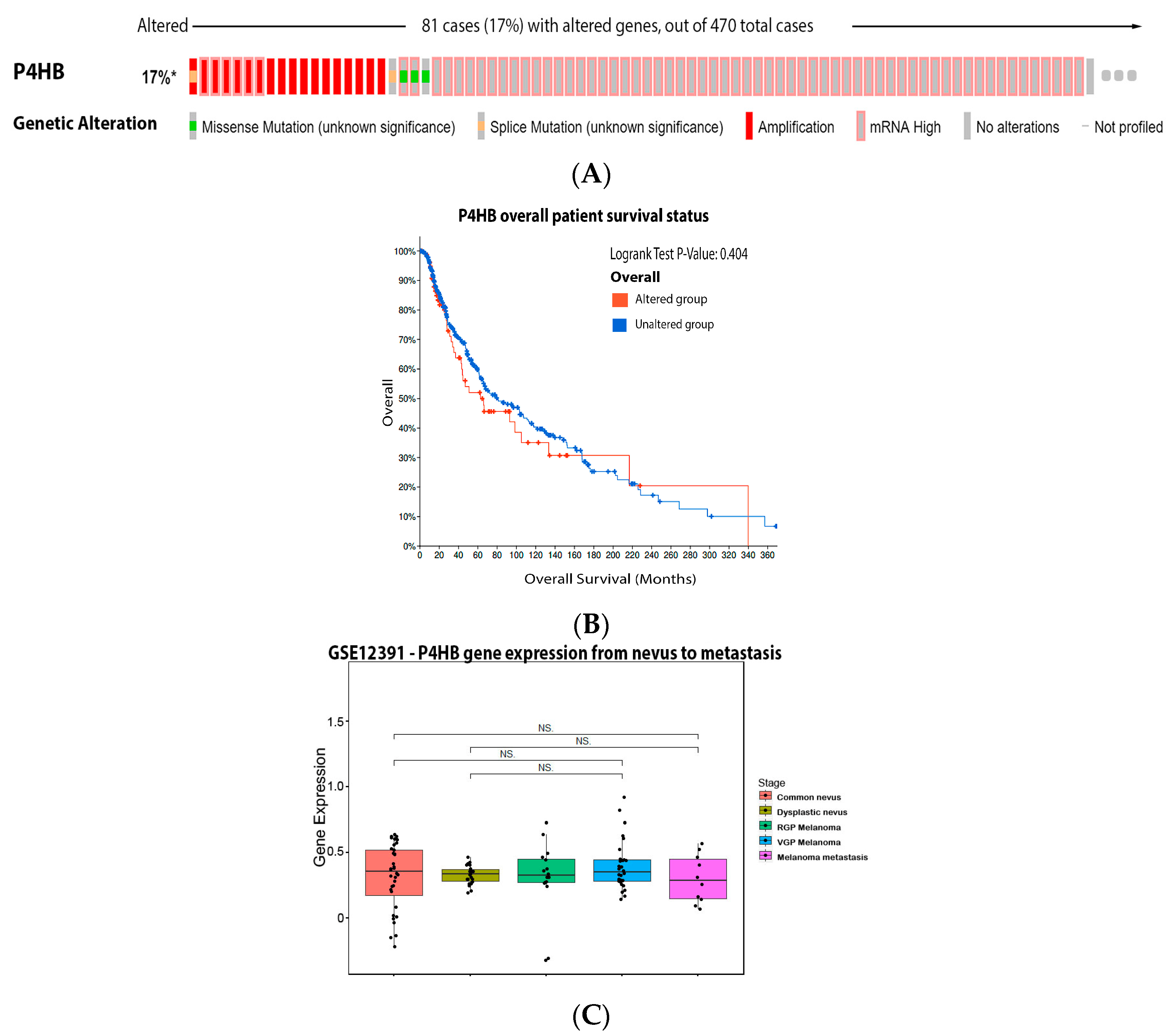 Antioxidants 11 00438 g008