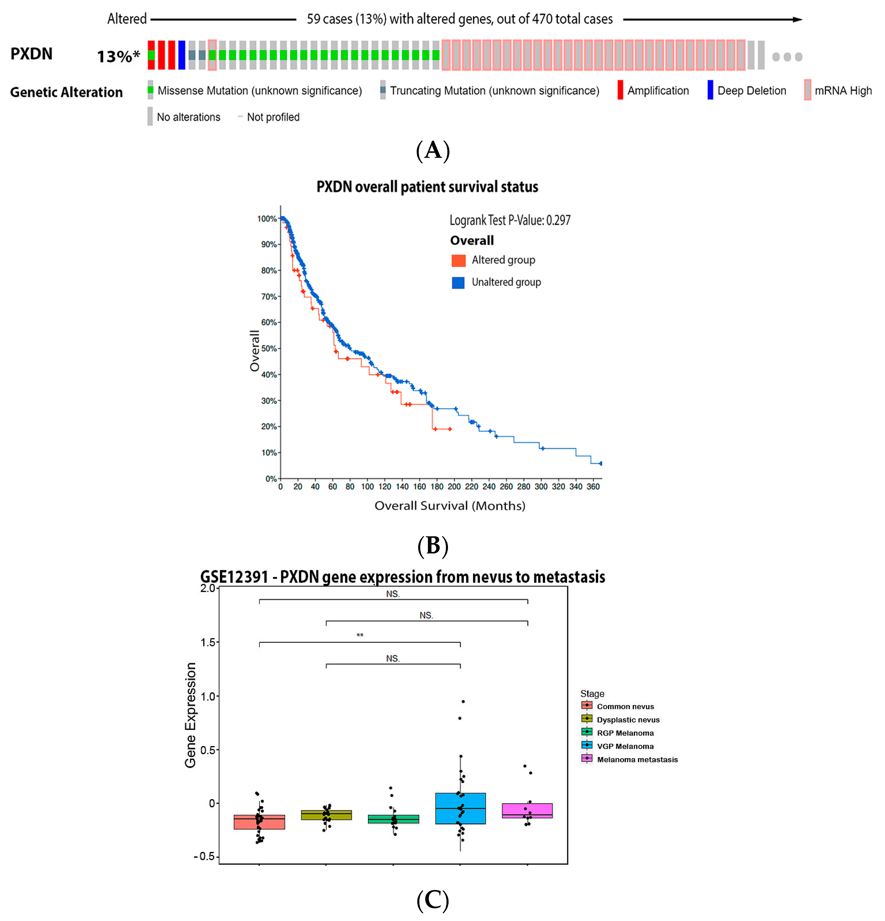 Antioxidants 11 00438 g009