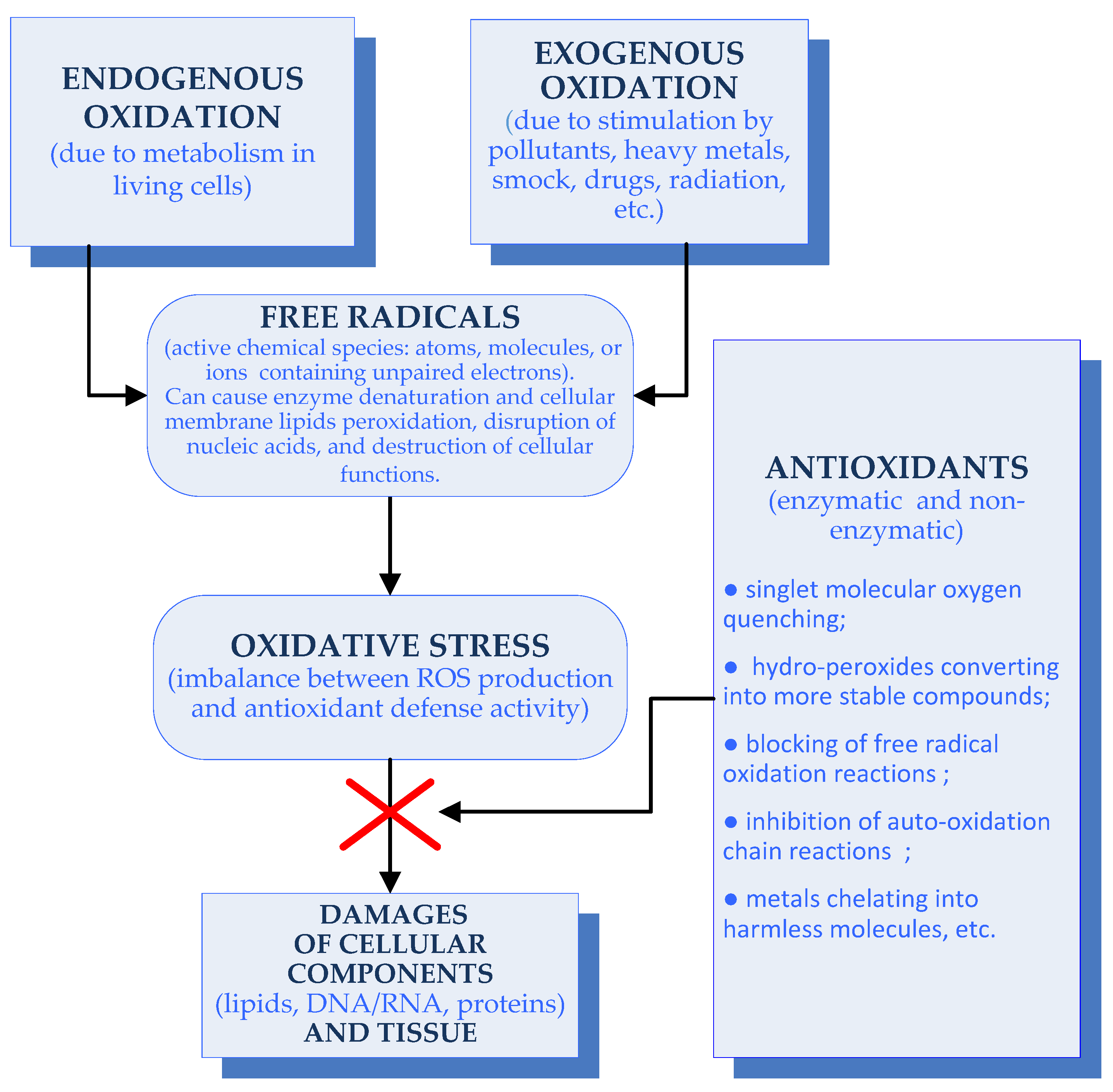 Antioxidants 11 00439 g001