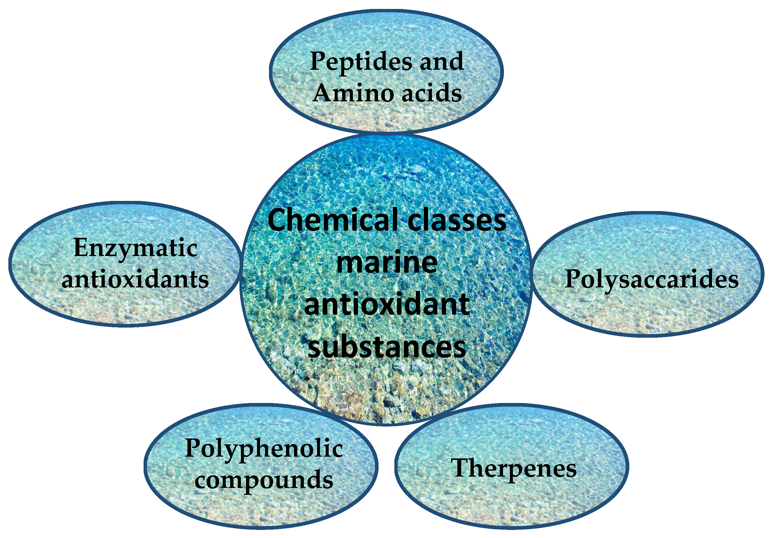 Antioxidants 11 00439 g005