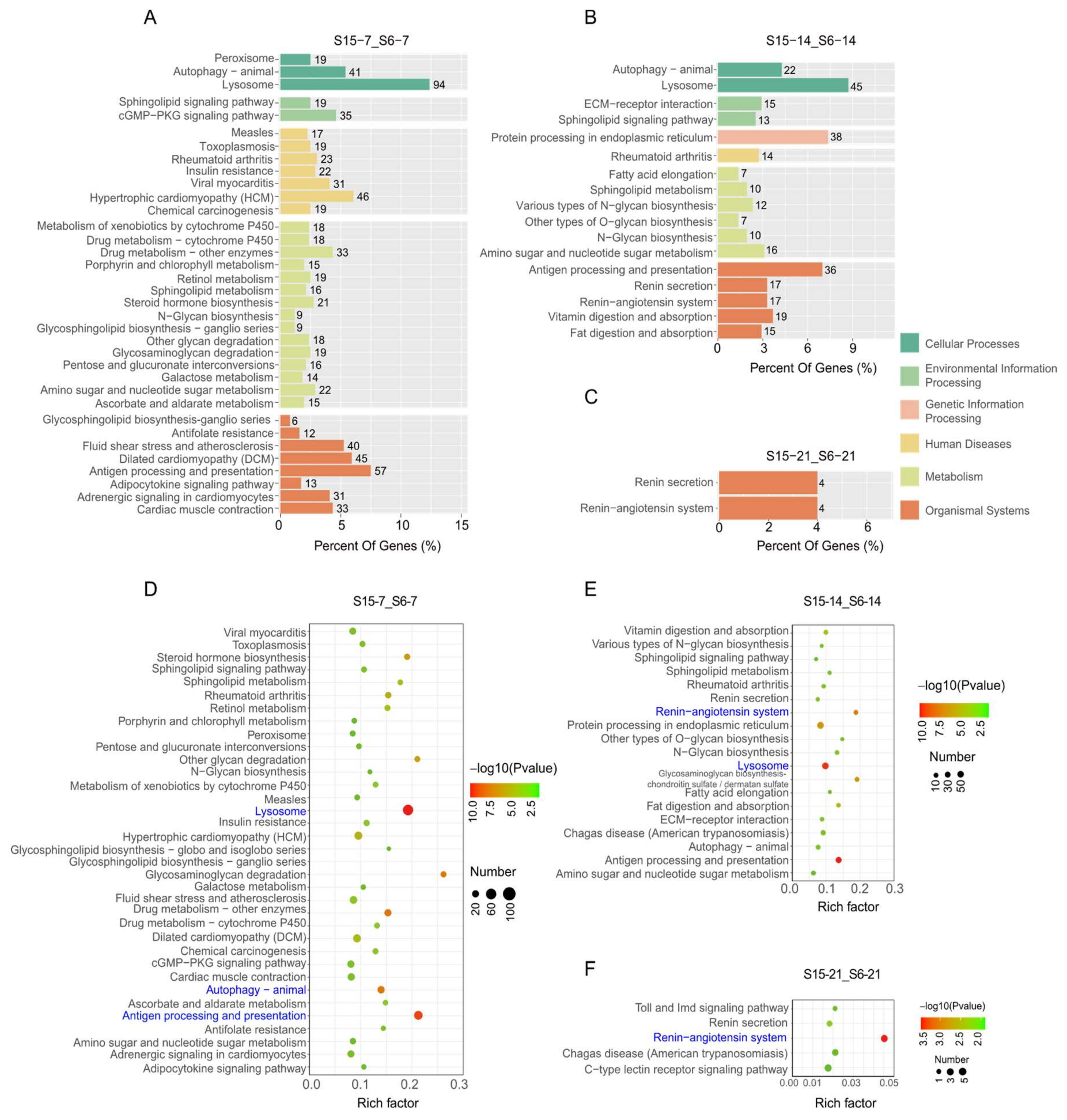 Antioxidants 11 00440 g004