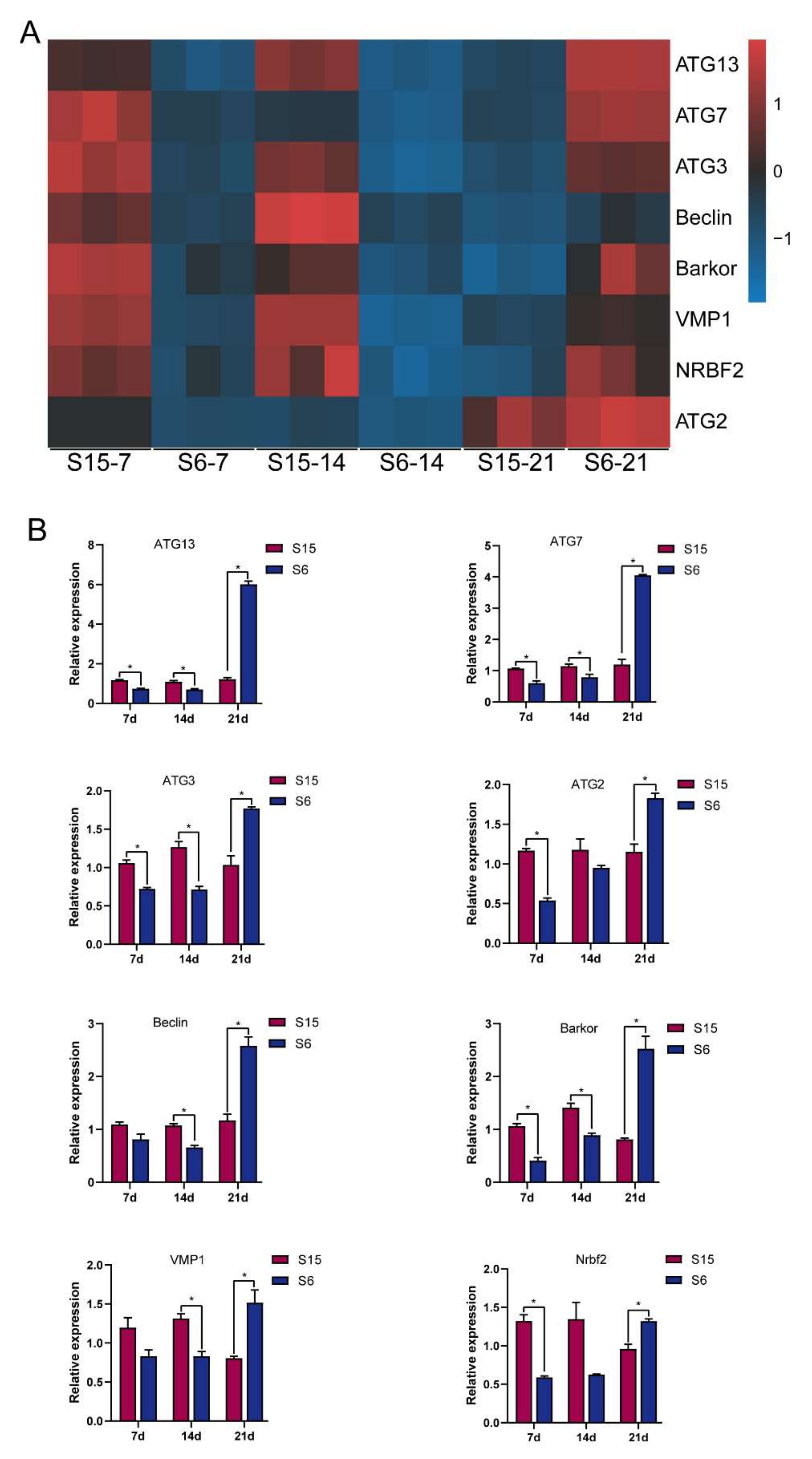 Antioxidants 11 00440 g005
