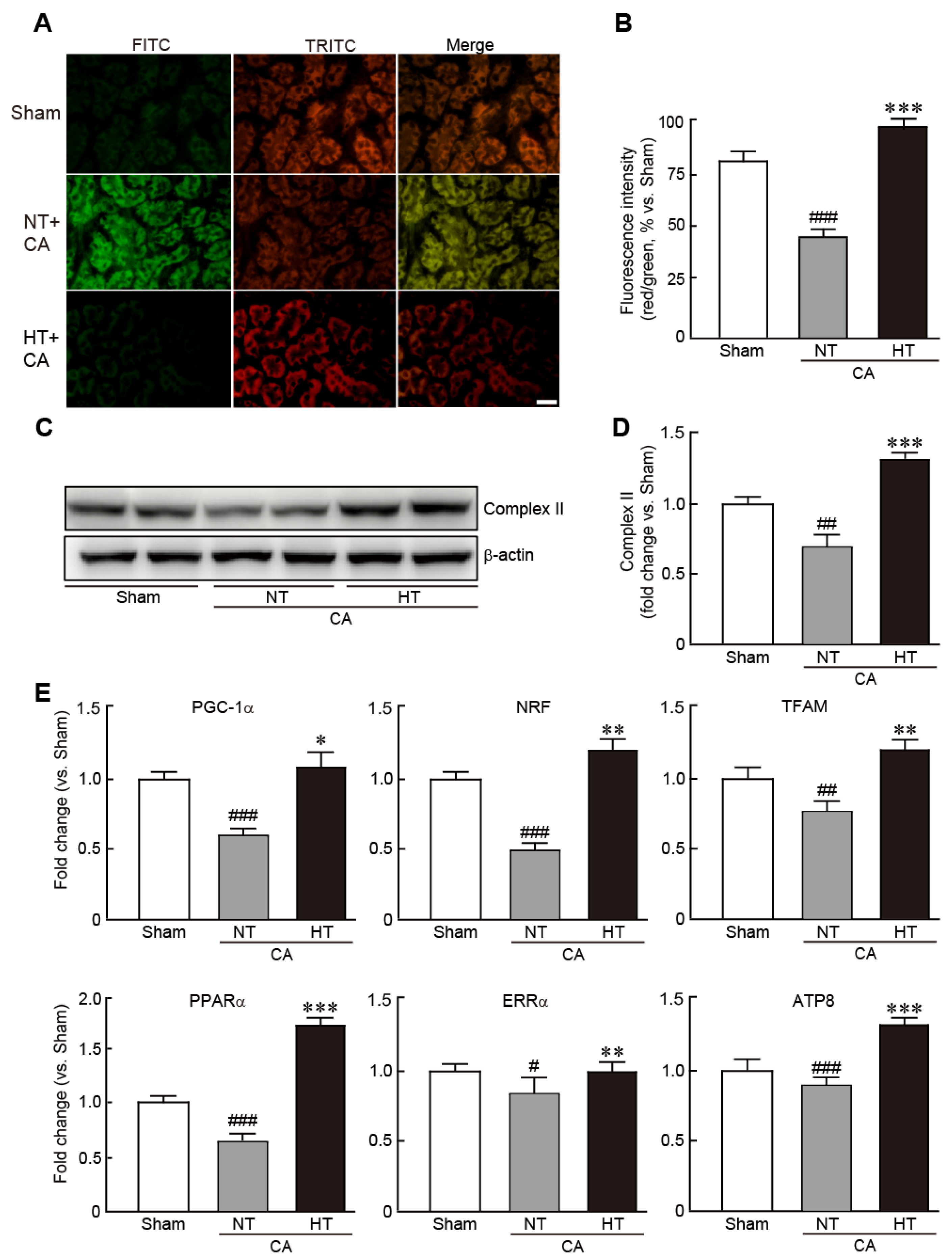 Antioxidants 11 00443 g006
