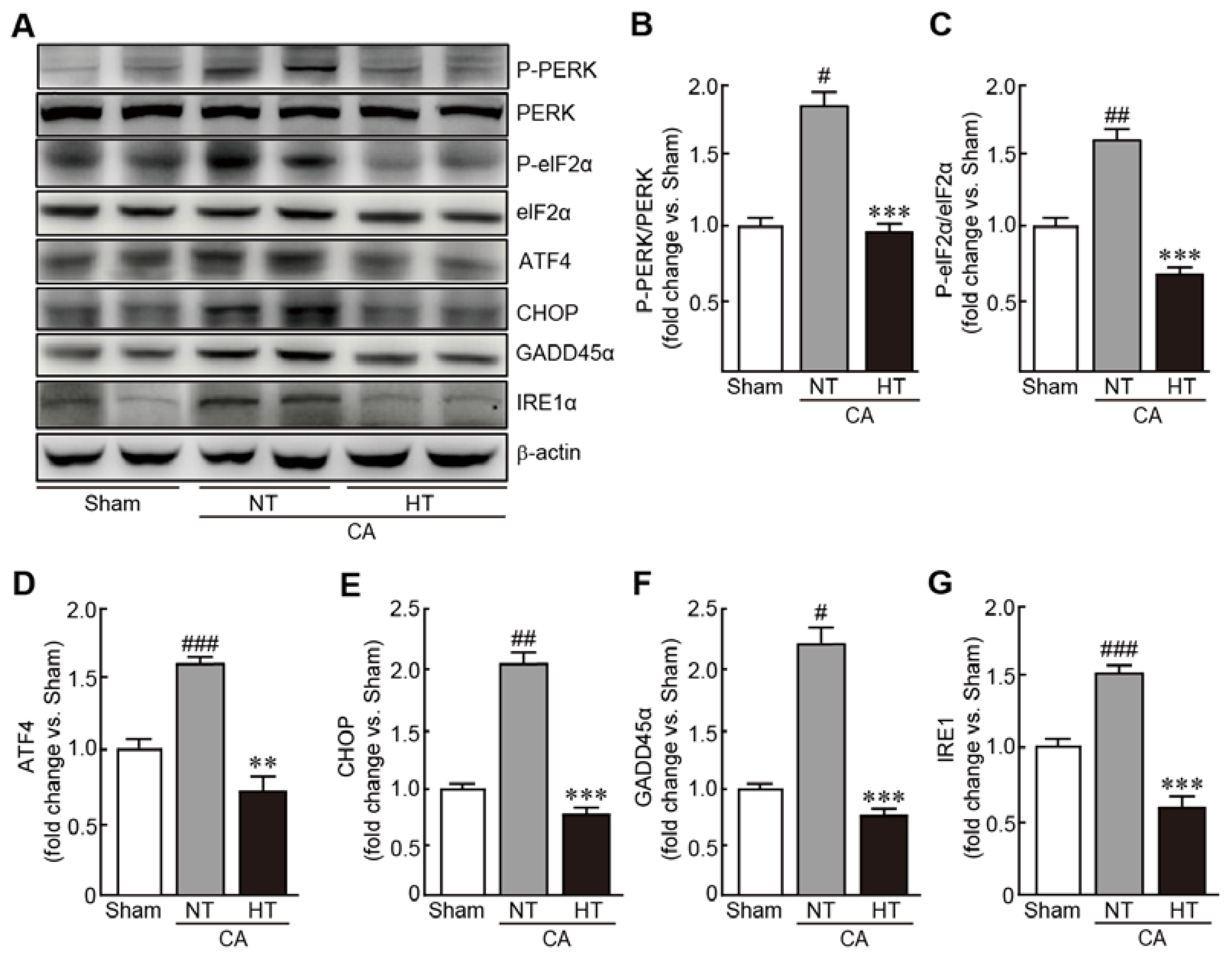 Antioxidants 11 00443 g007