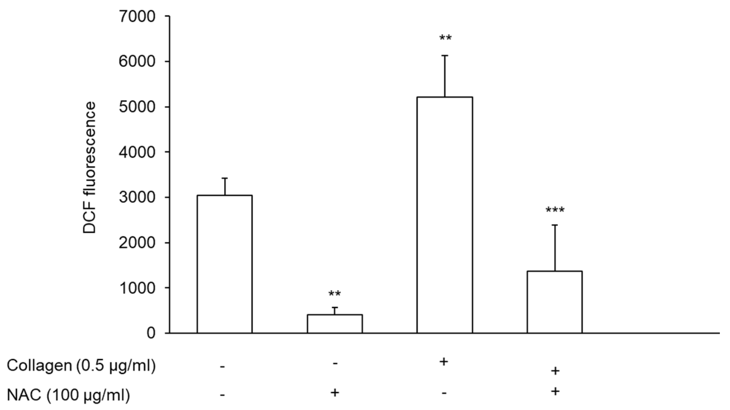 Antioxidants 11 00445 g008