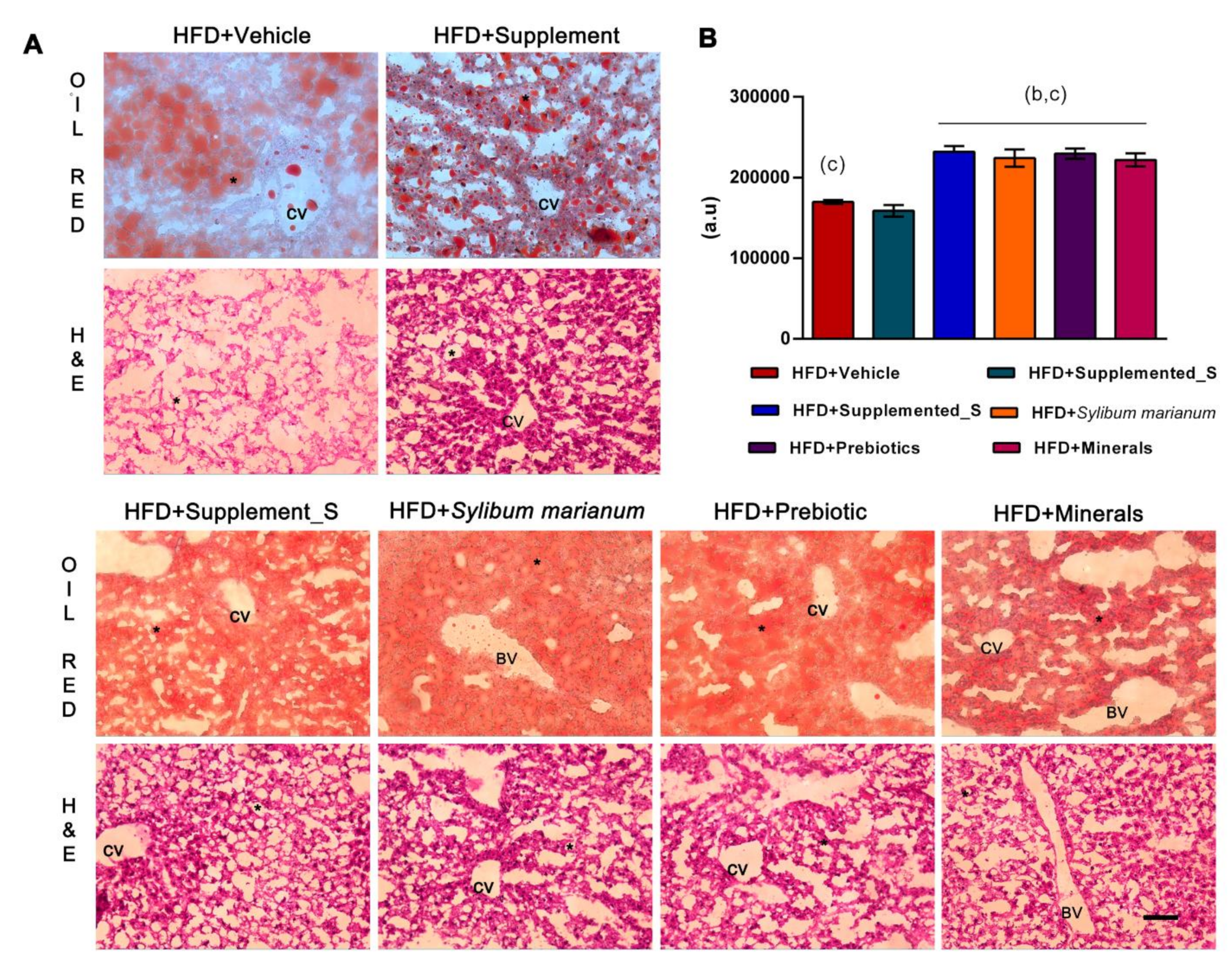 Antioxidants 11 00447 g005