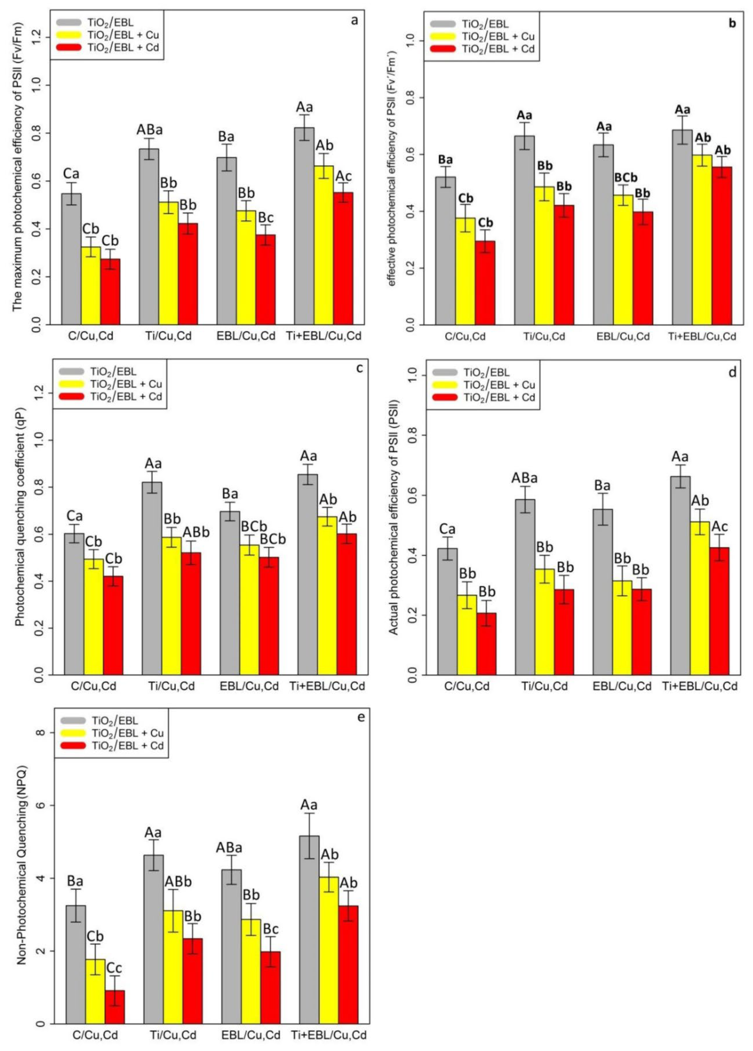 Antioxidants 11 00451 g004