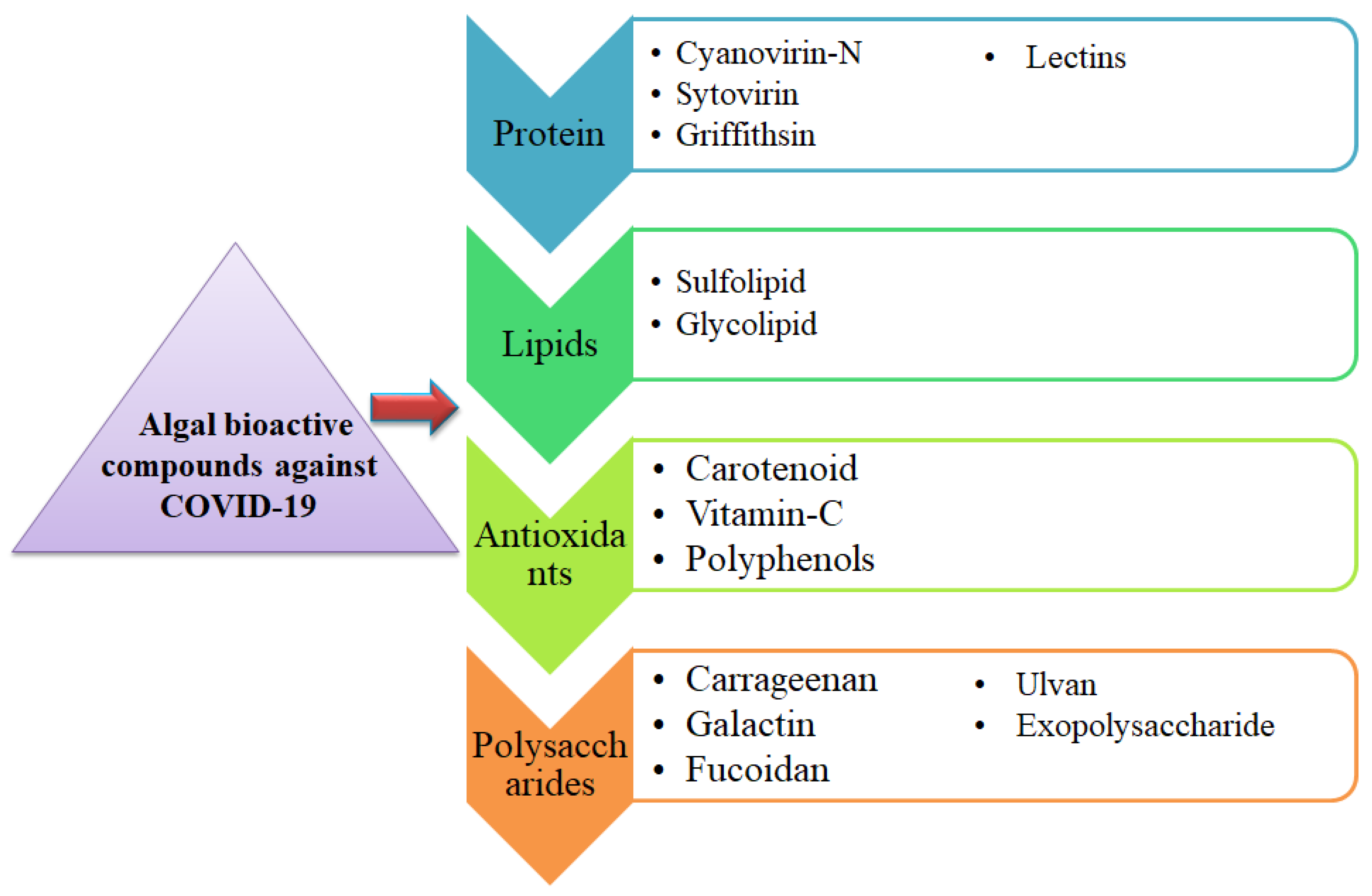 Antioxidants 11 00452 g001 Antioxidants 11 00452 g001