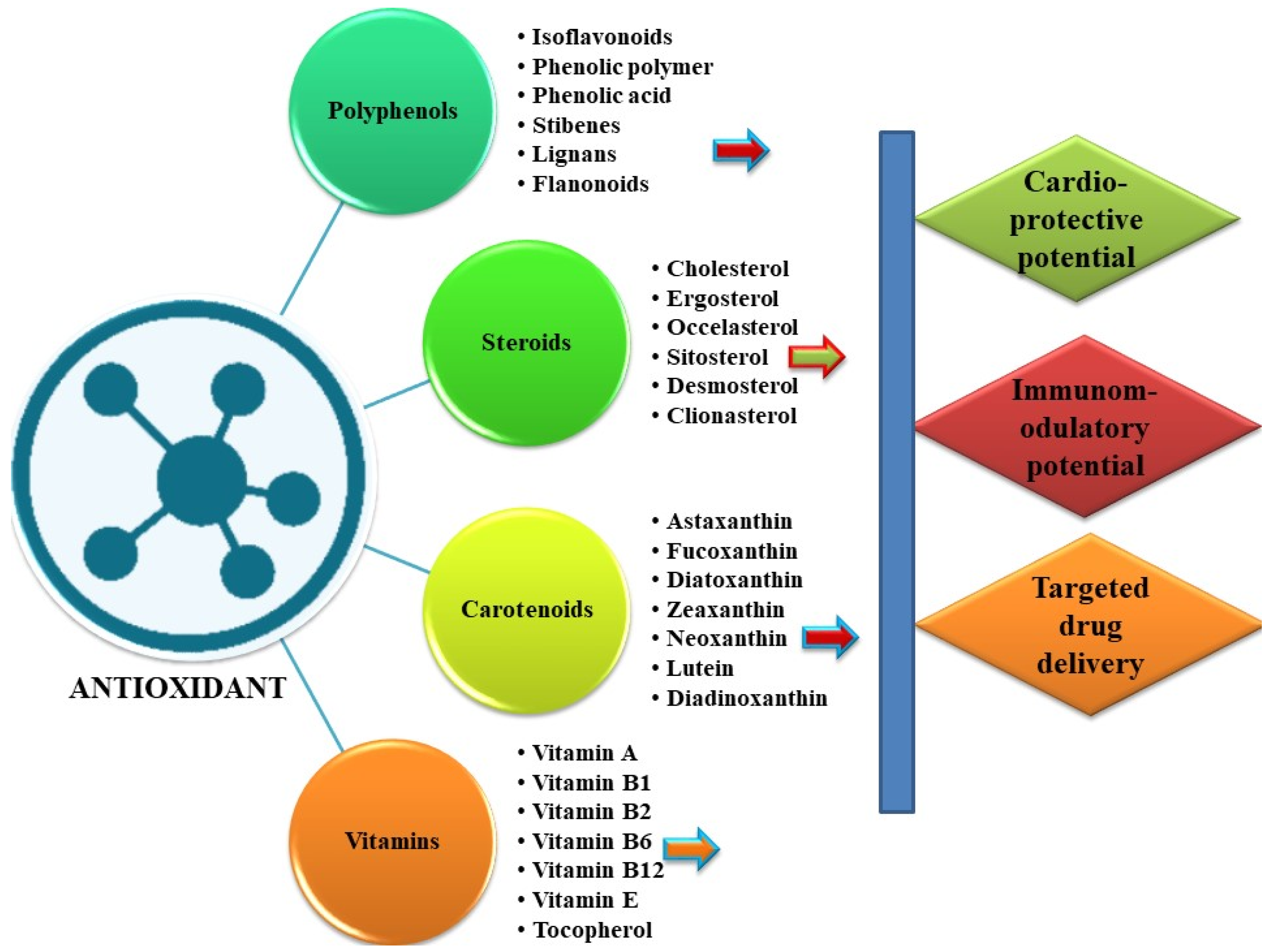 Antioxidants 11 00452 g003 Antioxidants 11 00452 g003
