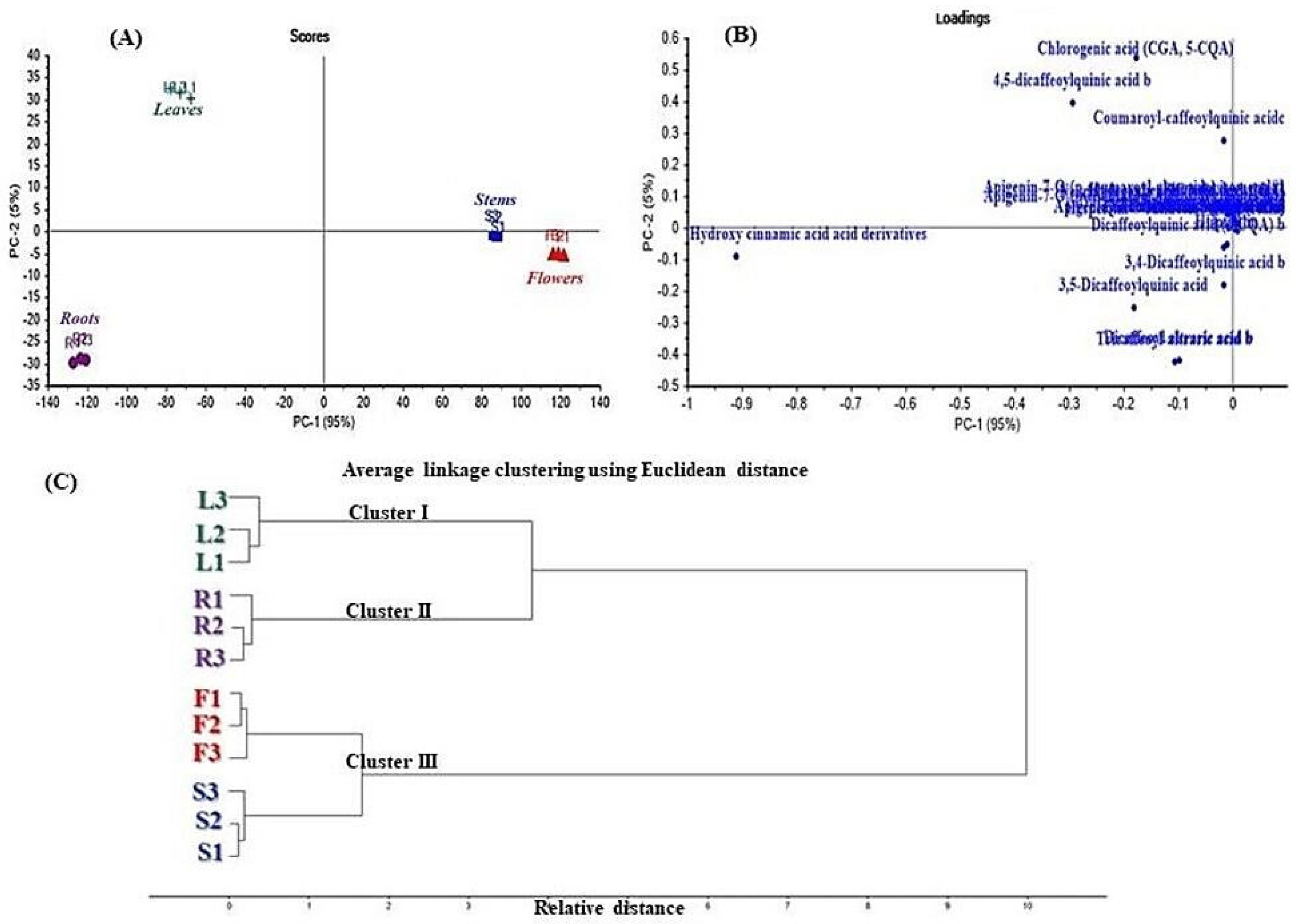 Antioxidants 11 00453 g002