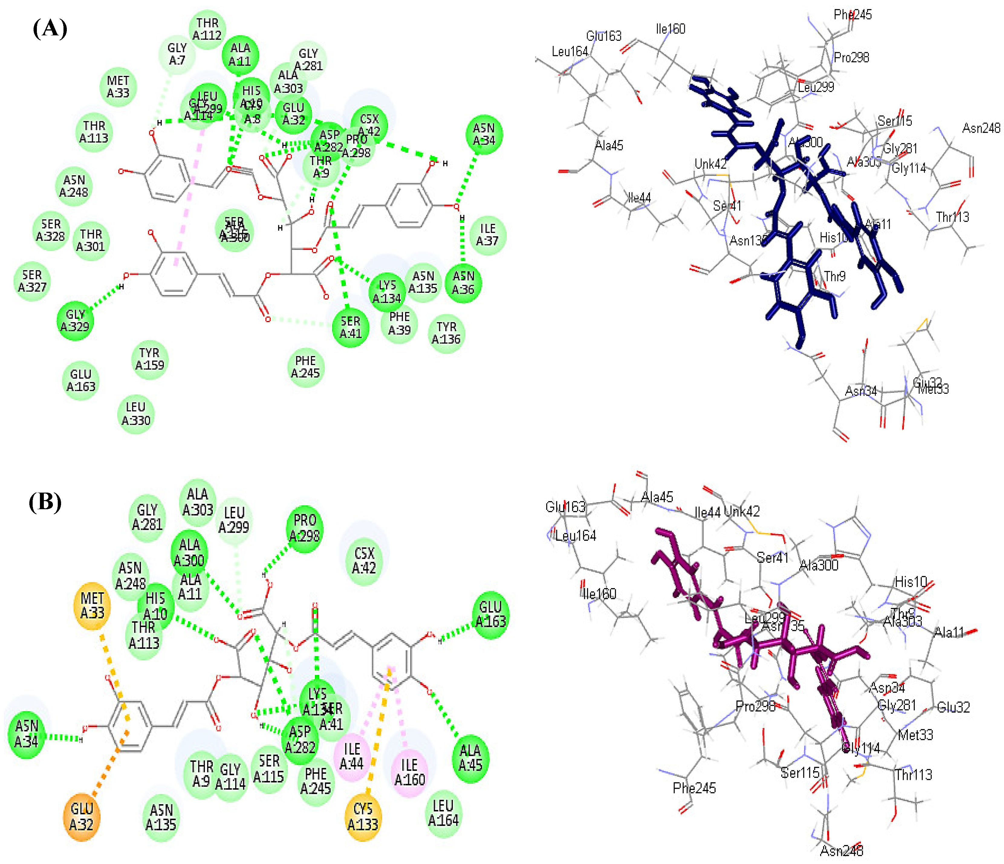 Antioxidants 11 00453 g003