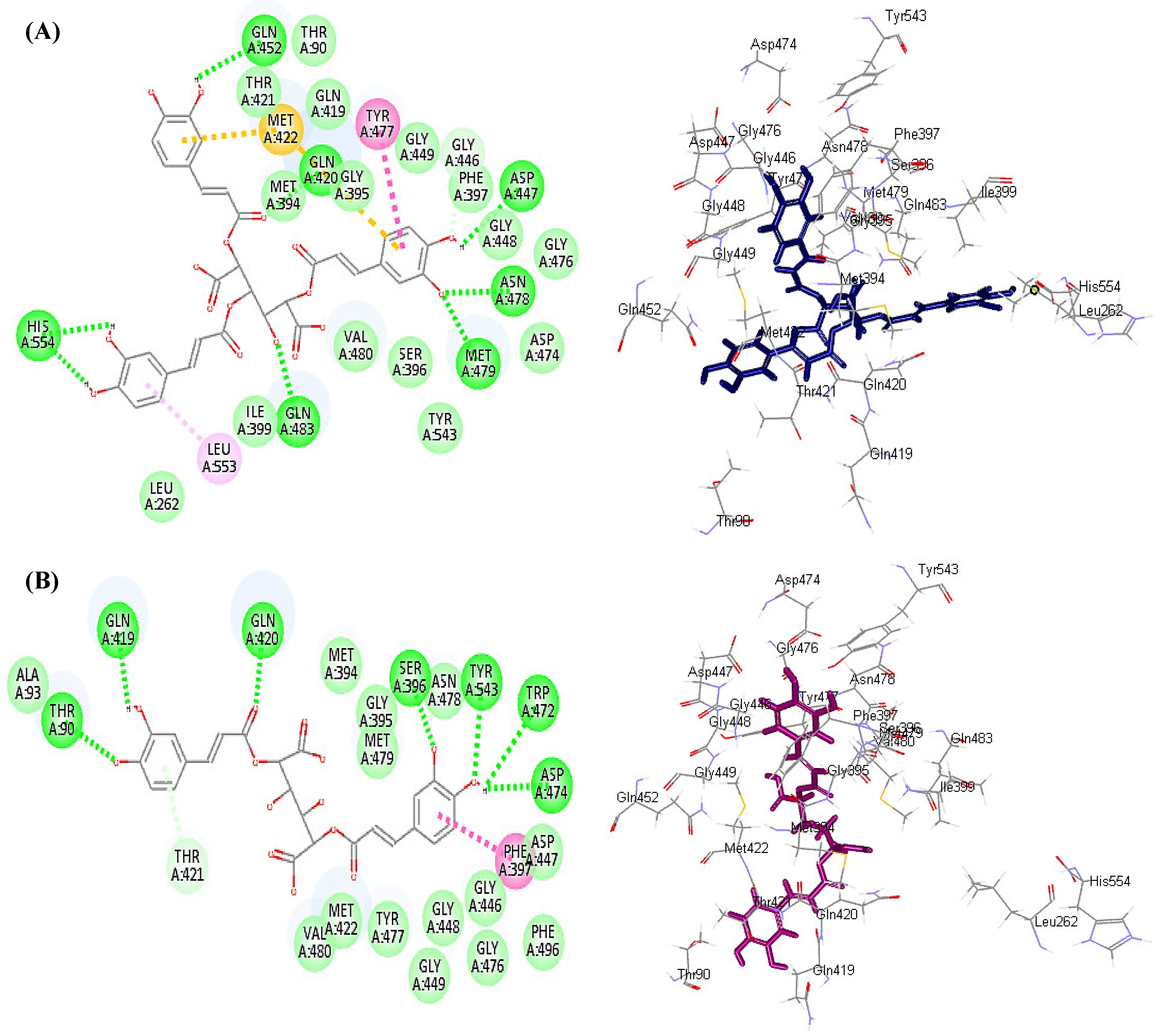 Antioxidants 11 00453 g004
