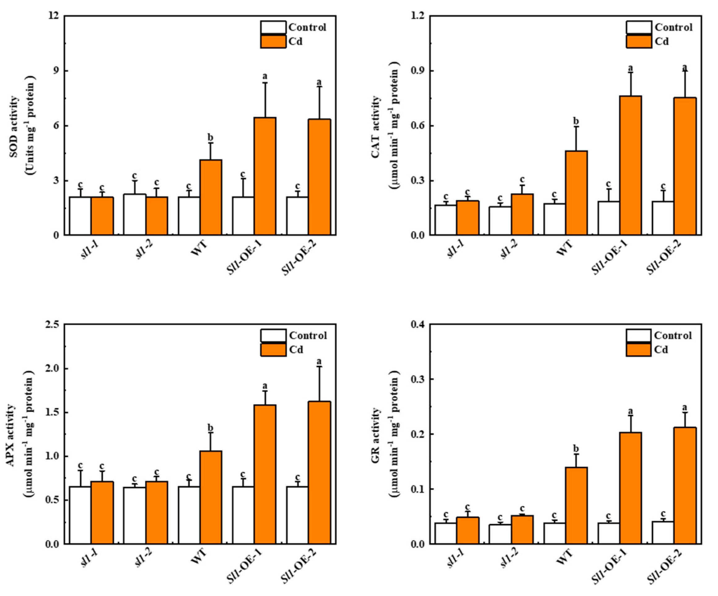 Antioxidants 11 00456 g004