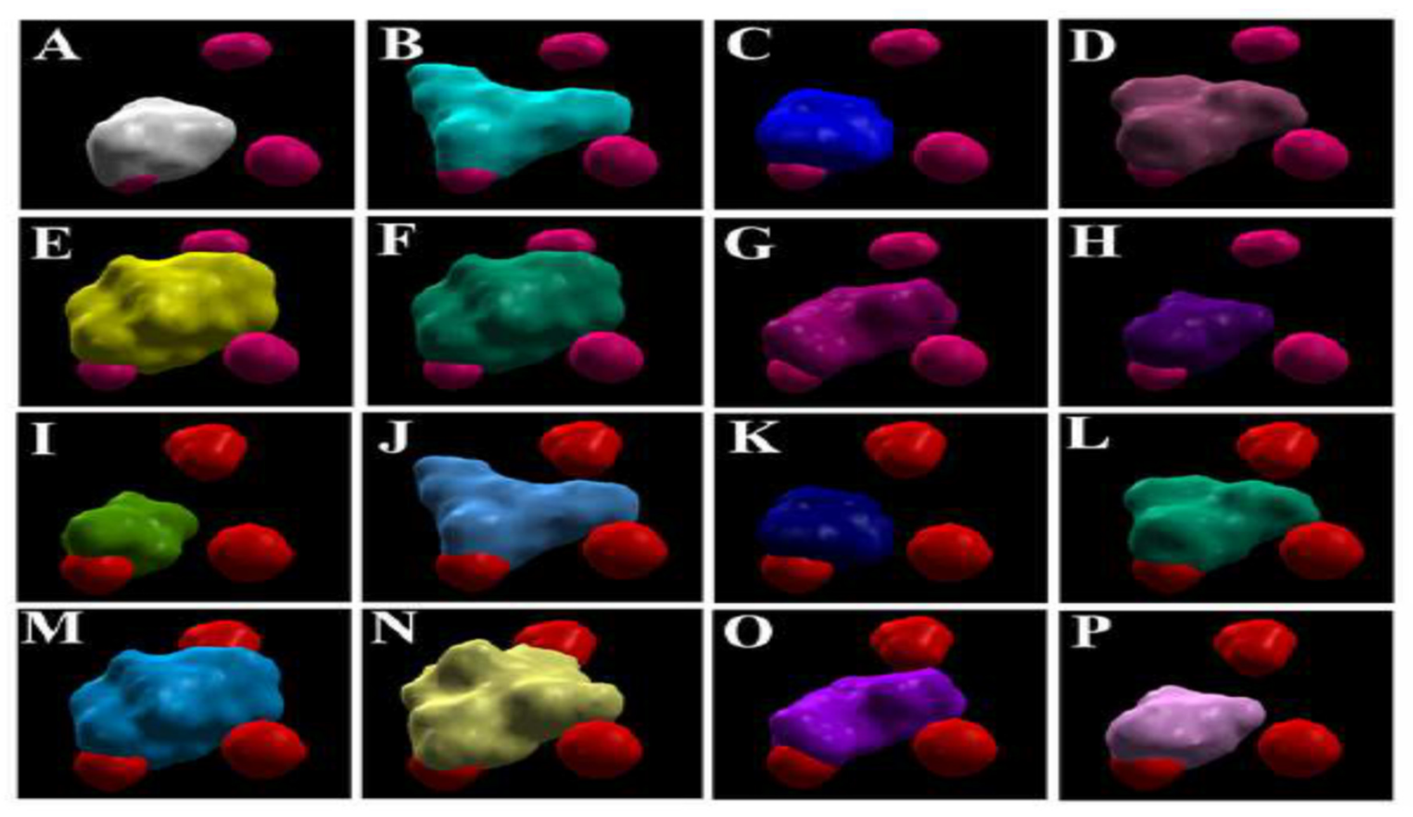 Antioxidants 11 00458 g002