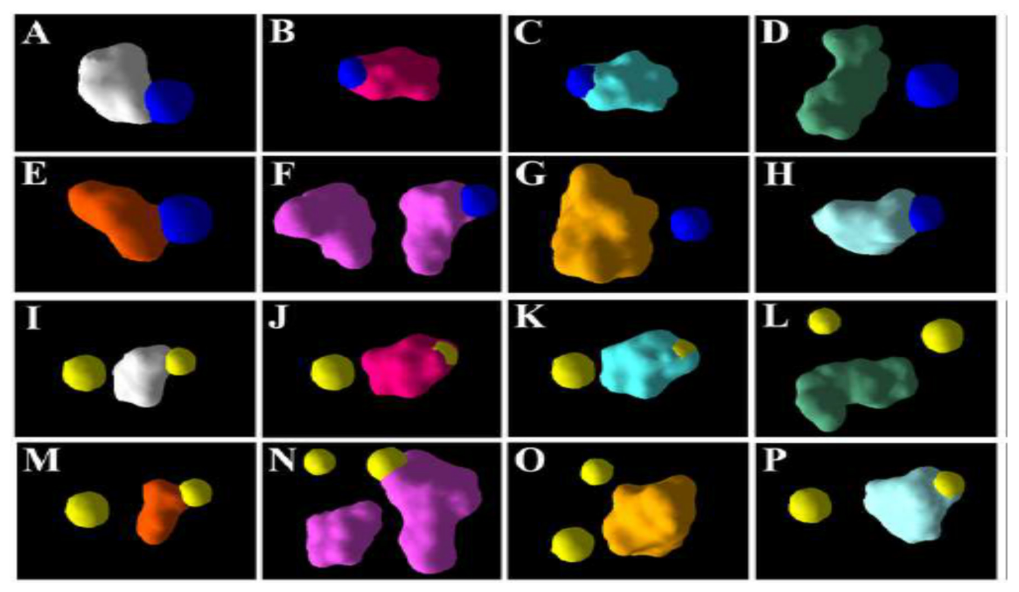 Antioxidants 11 00458 g003