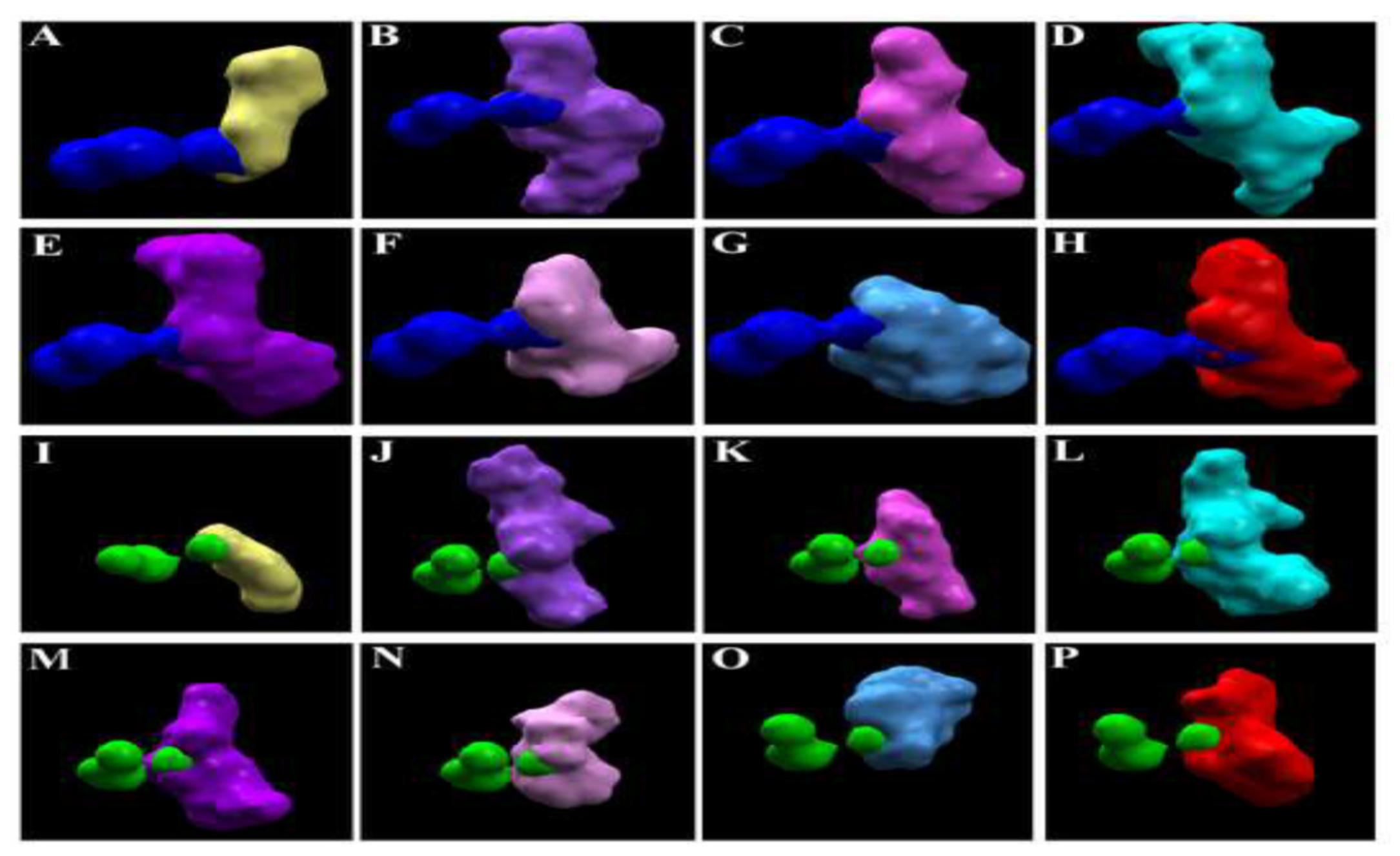 Antioxidants 11 00458 g004