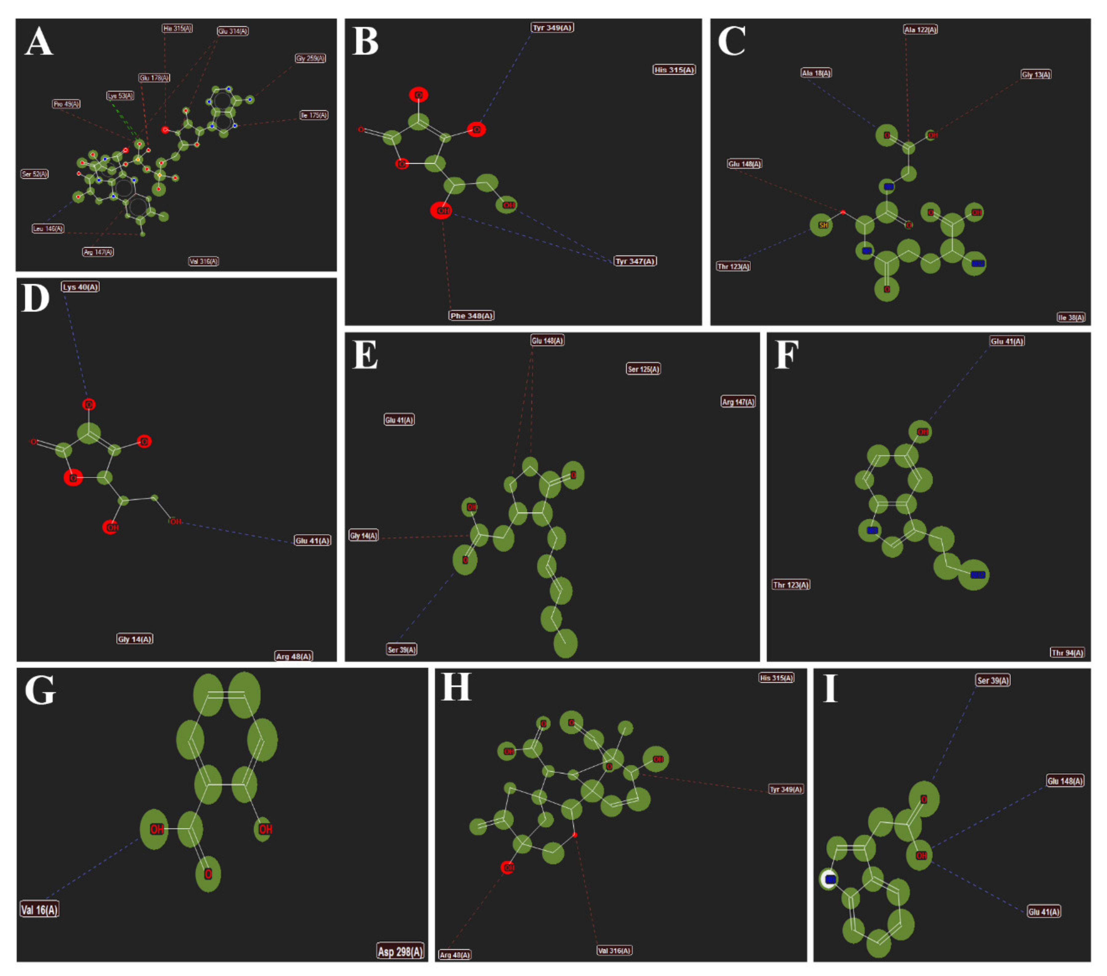 Antioxidants 11 00458 g008
