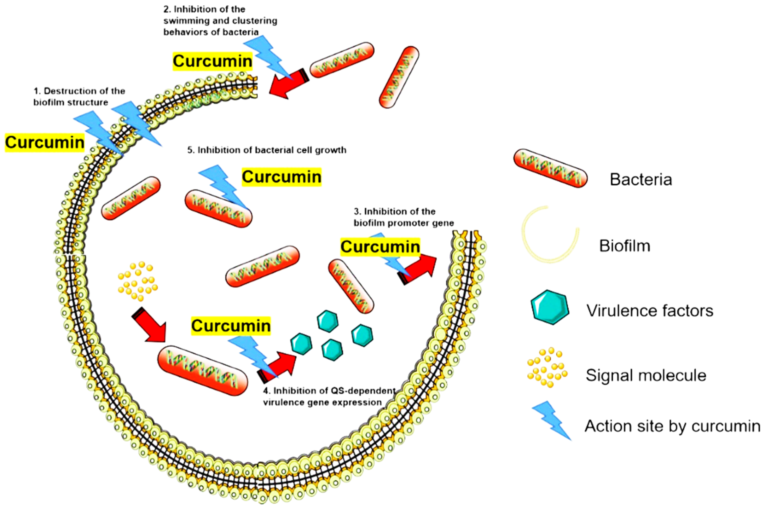 Antioxidants 11 00459 g003