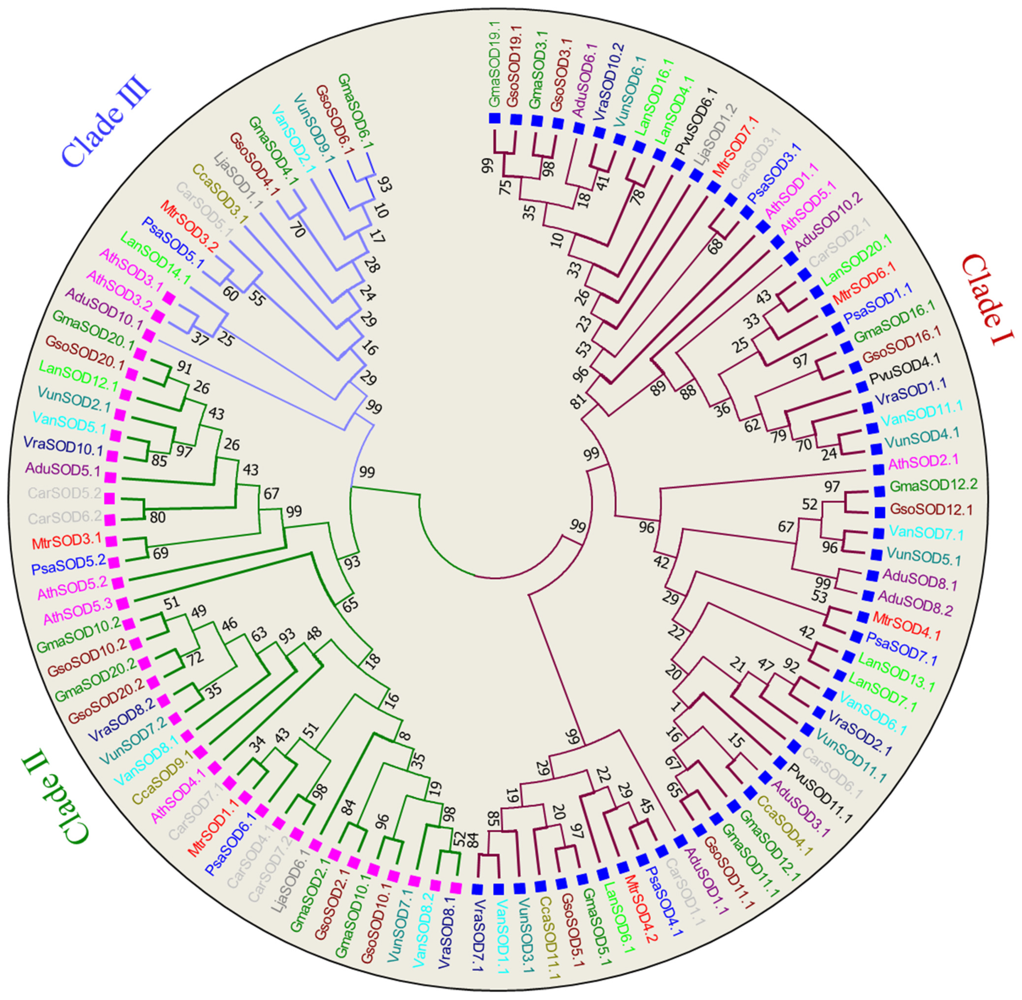 Antioxidants 11 00460 g001