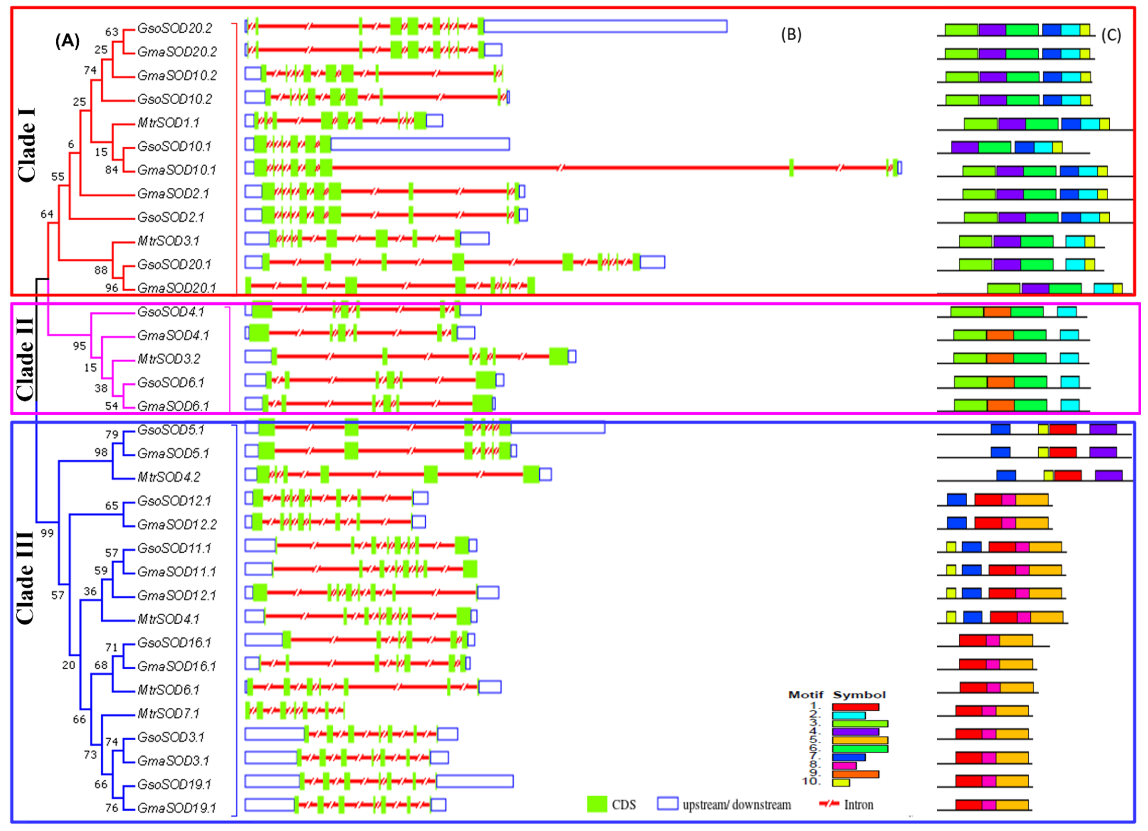 Antioxidants 11 00460 g003