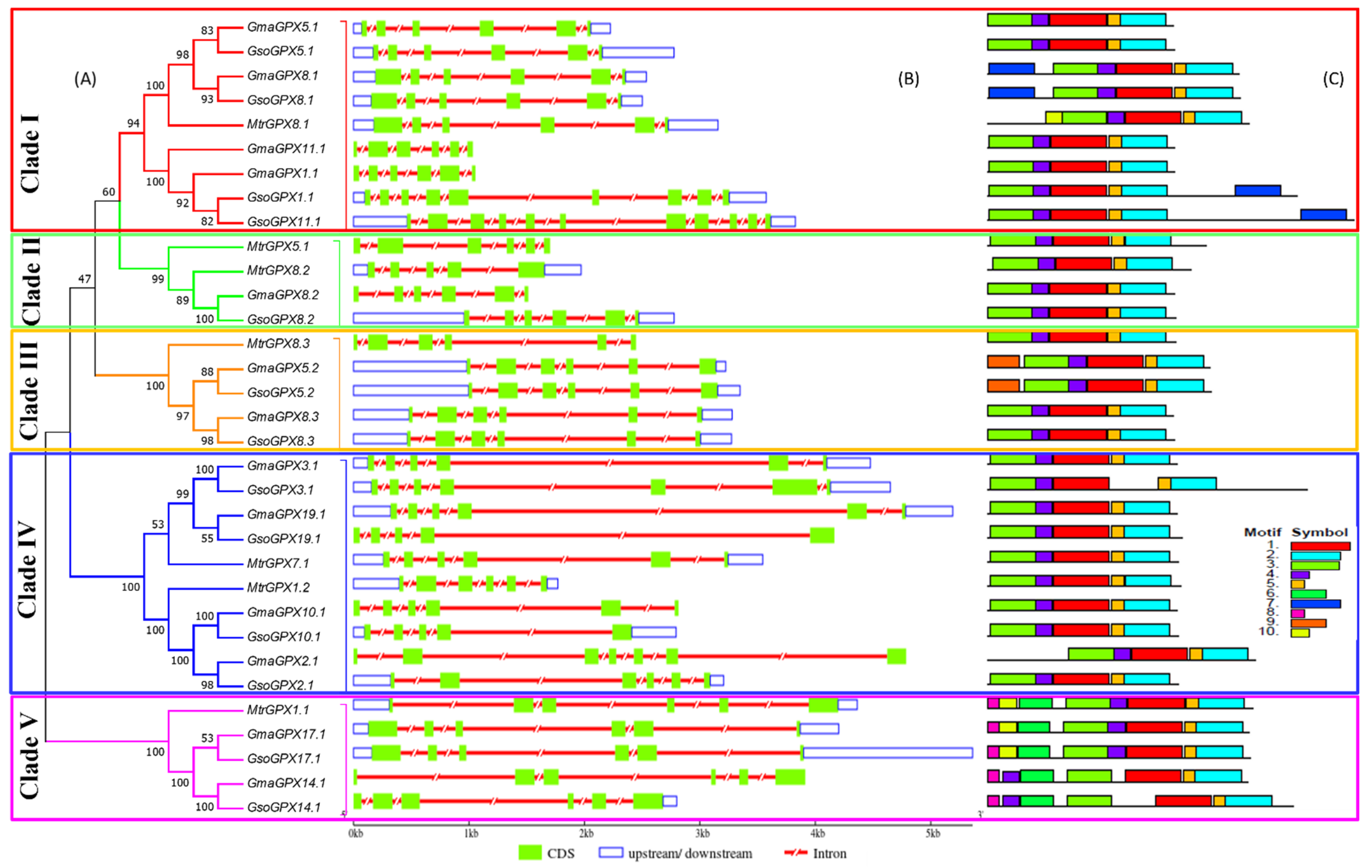 Antioxidants 11 00460 g004