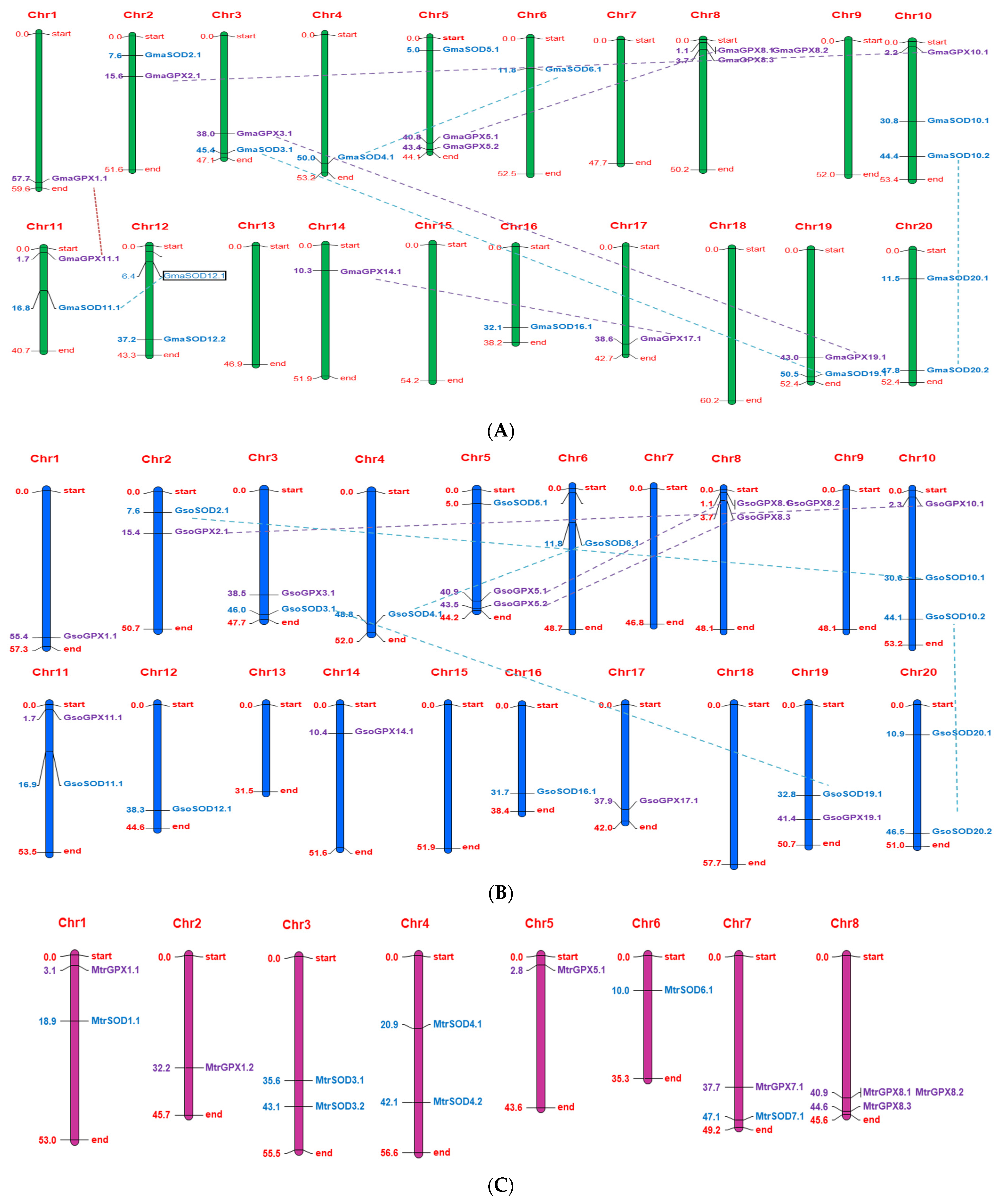 Antioxidants 11 00460 g007