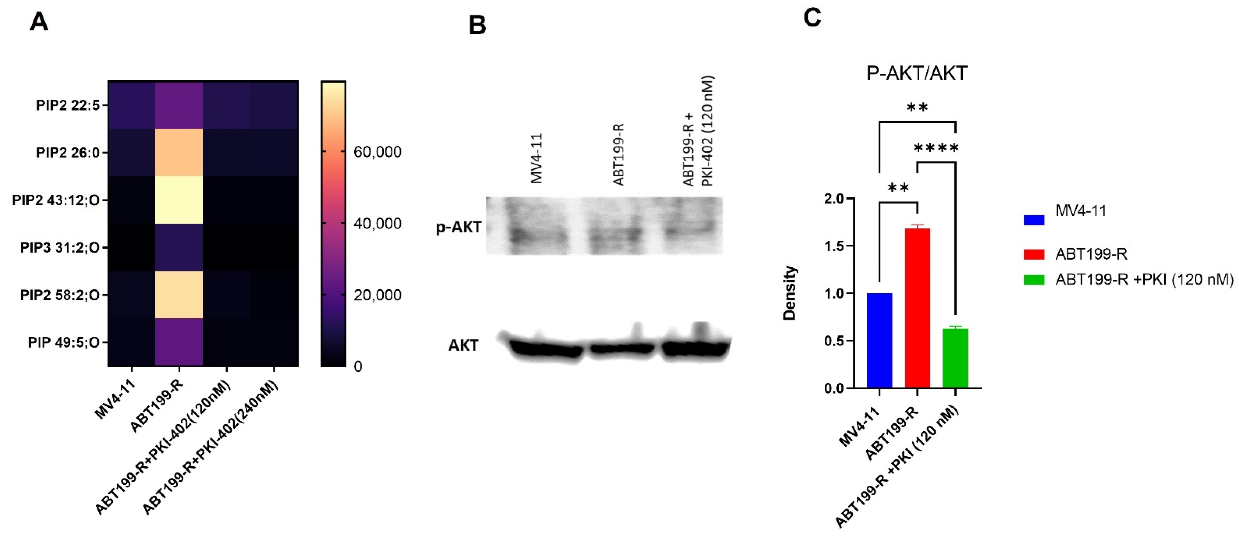 Antioxidants 11 00461 g004