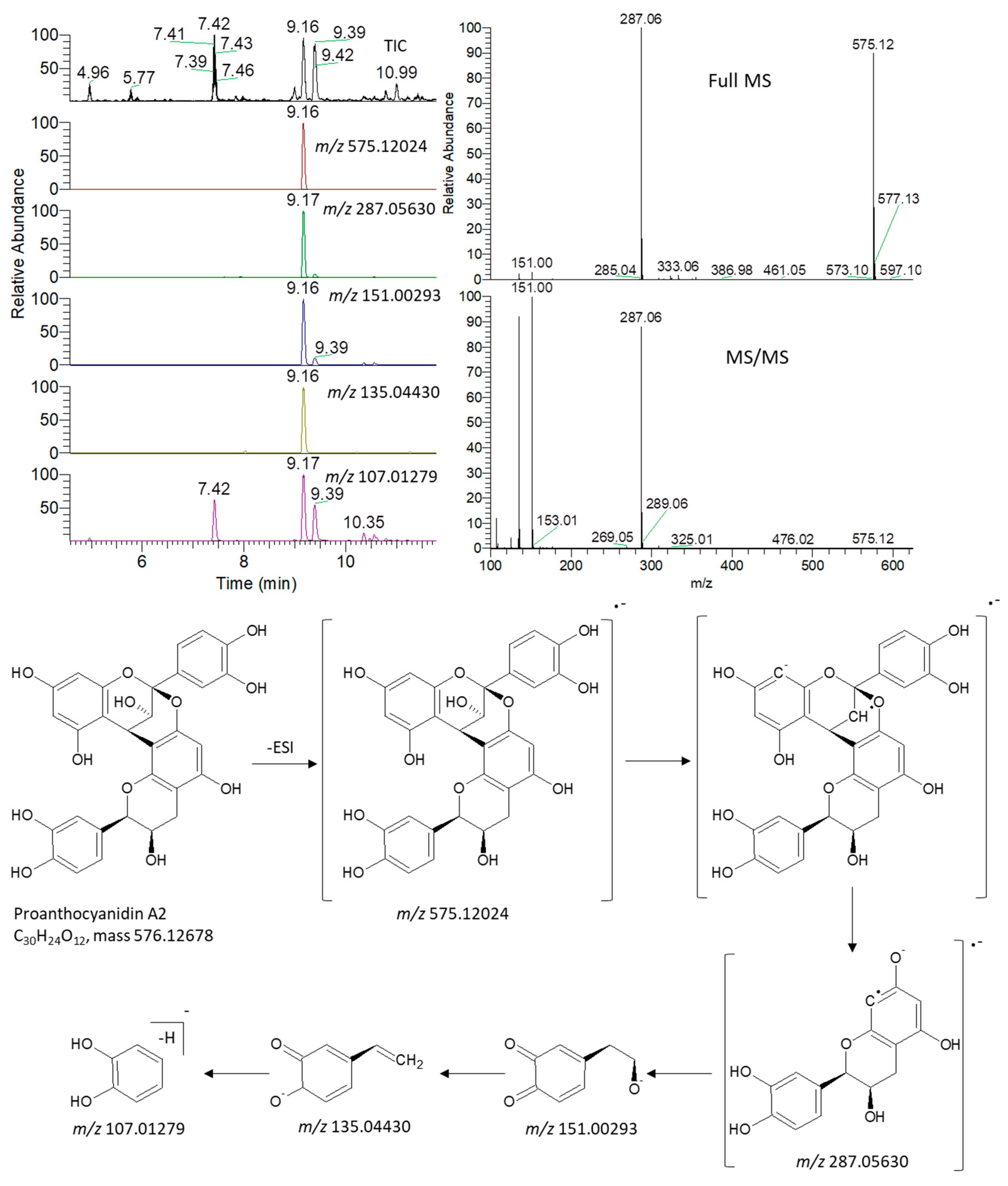 Antioxidants 11 00462 g004