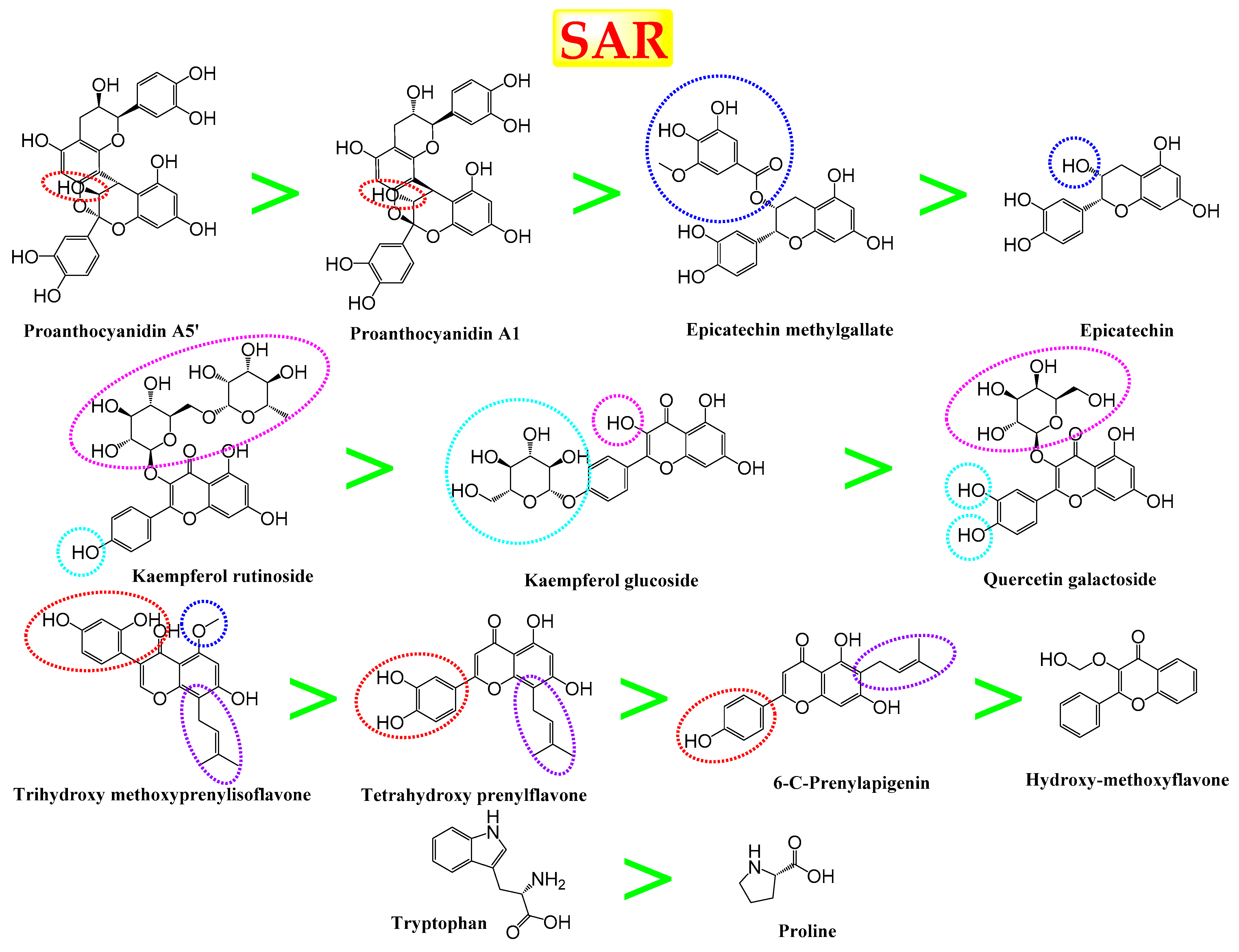 Antioxidants 11 00462 g007