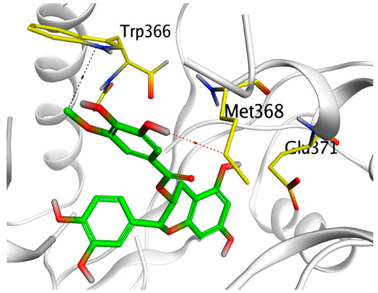 Antioxidants 11 00462 i003