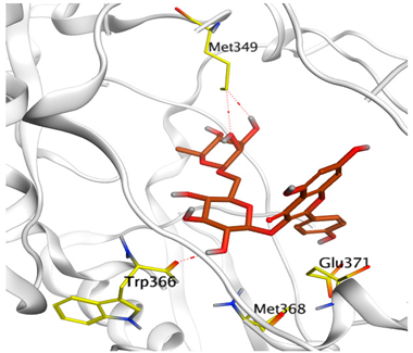Antioxidants 11 00462 i011