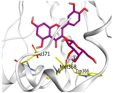 Antioxidants 11 00462 i013