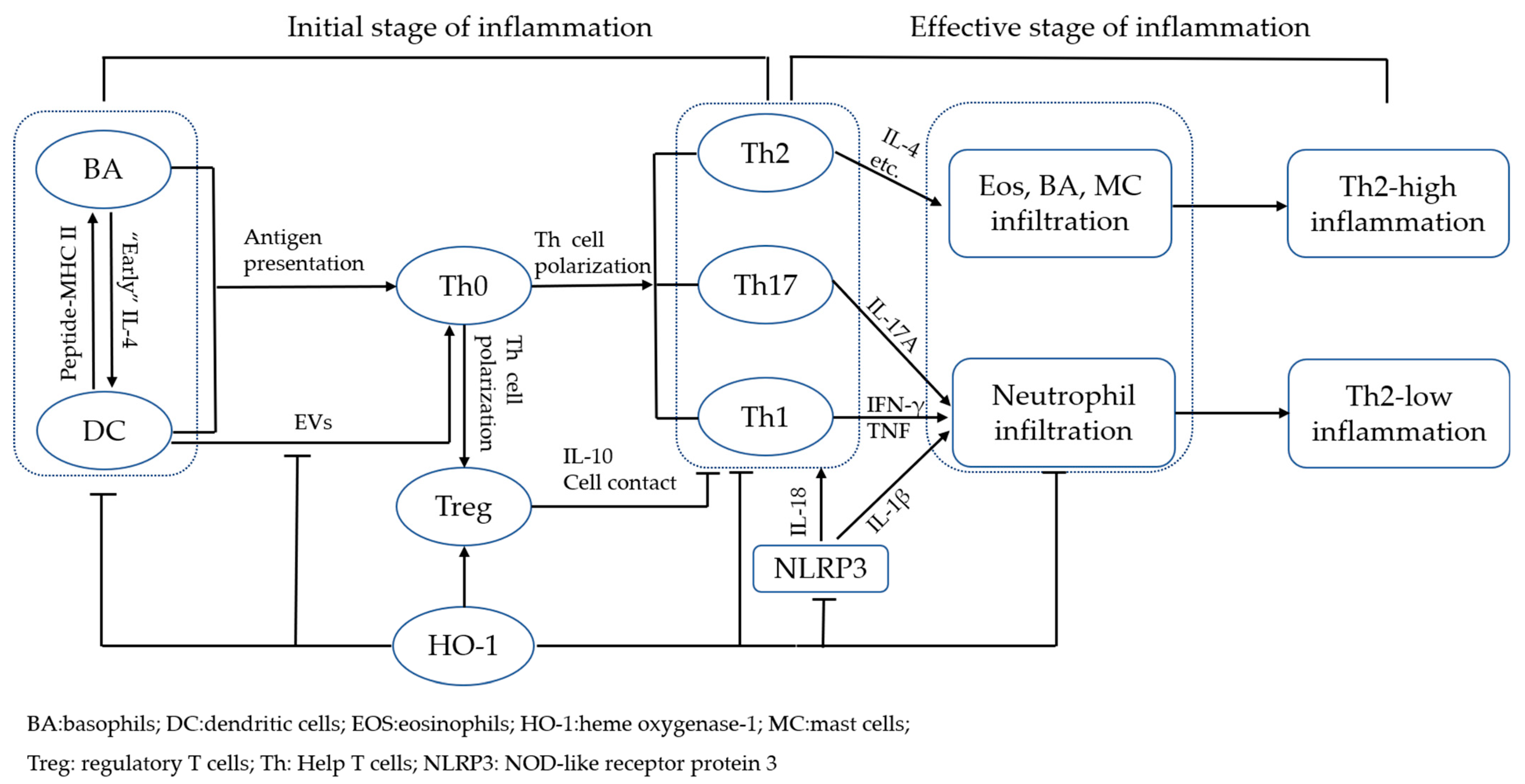 Antioxidants 11 00465 g001
