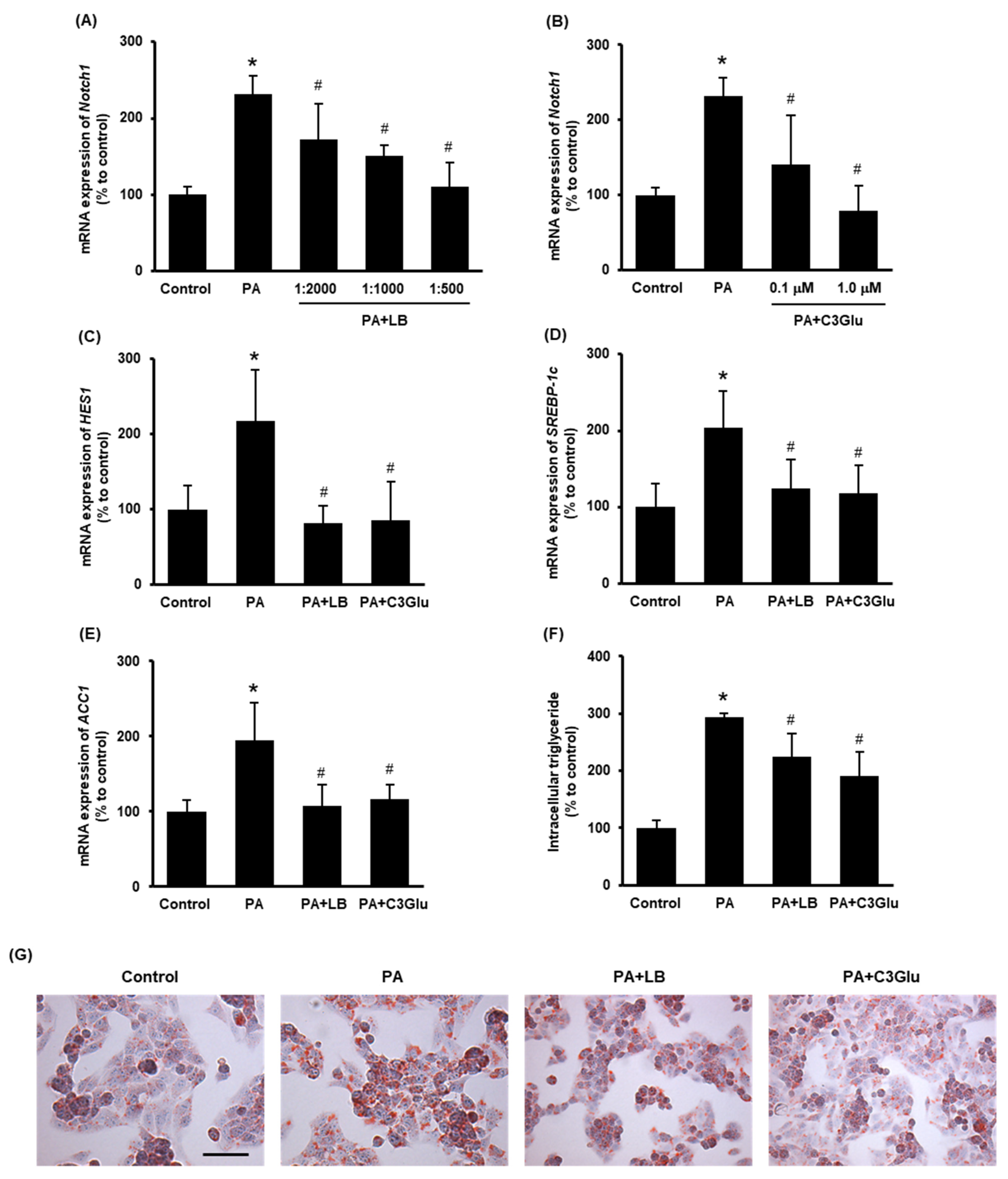 Antioxidants 11 00472 g004
