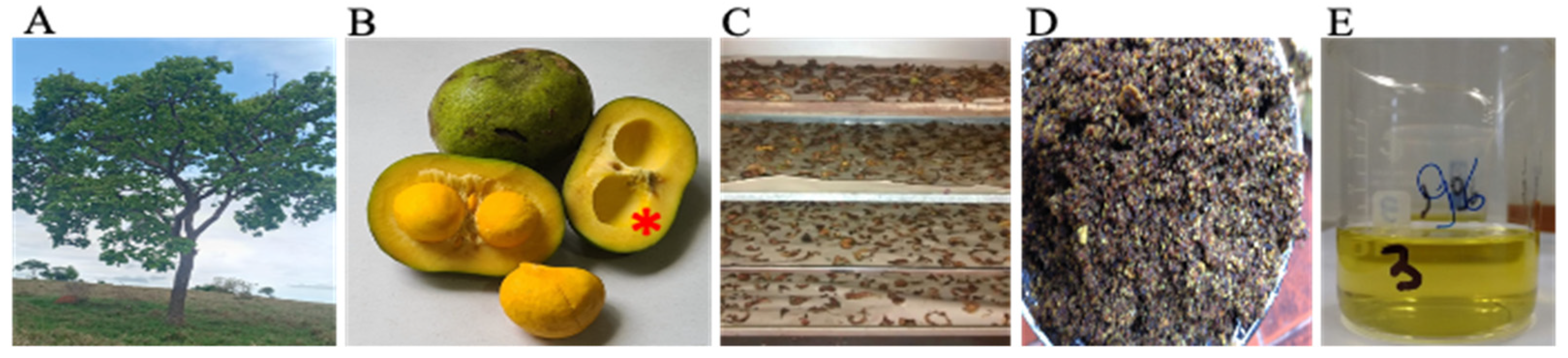 Antioxidants 11 00474 g001