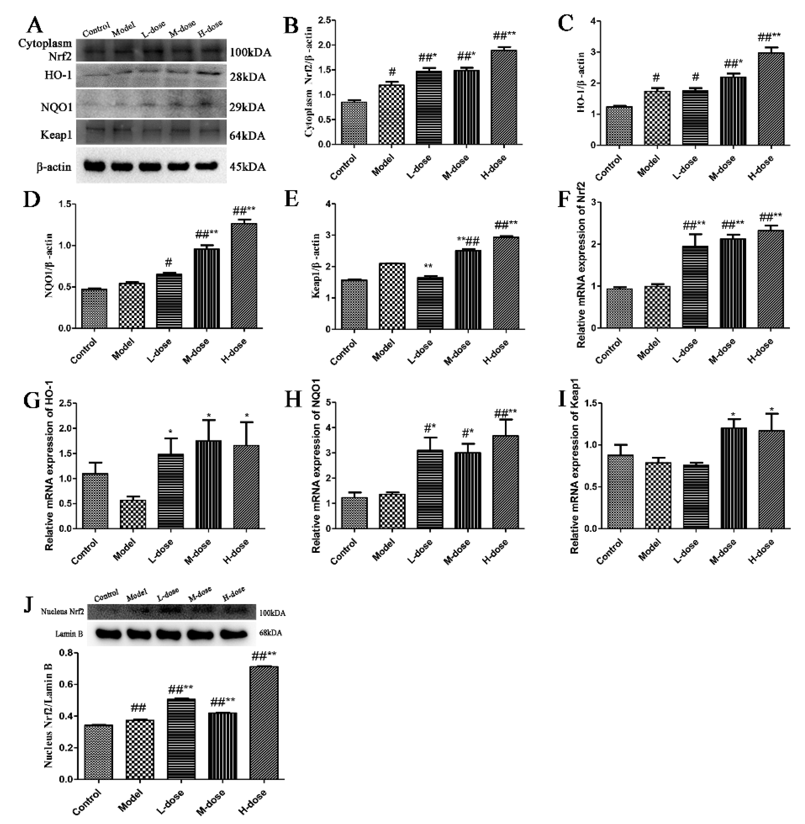 Antioxidants 11 00475 g003