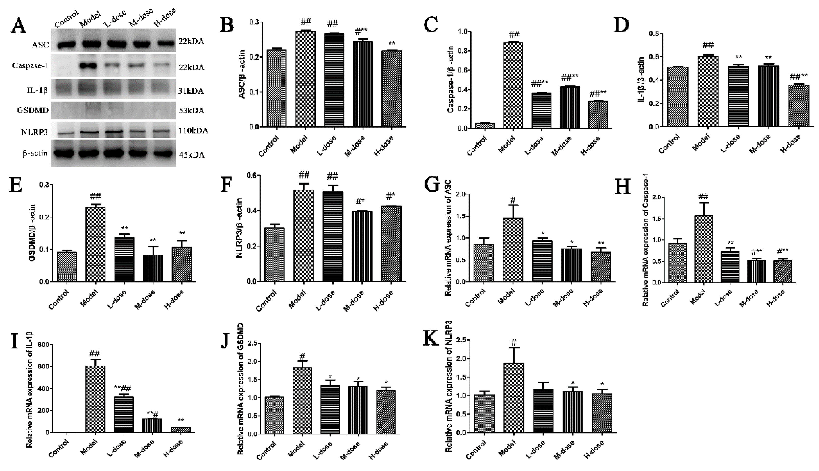 Antioxidants 11 00475 g004