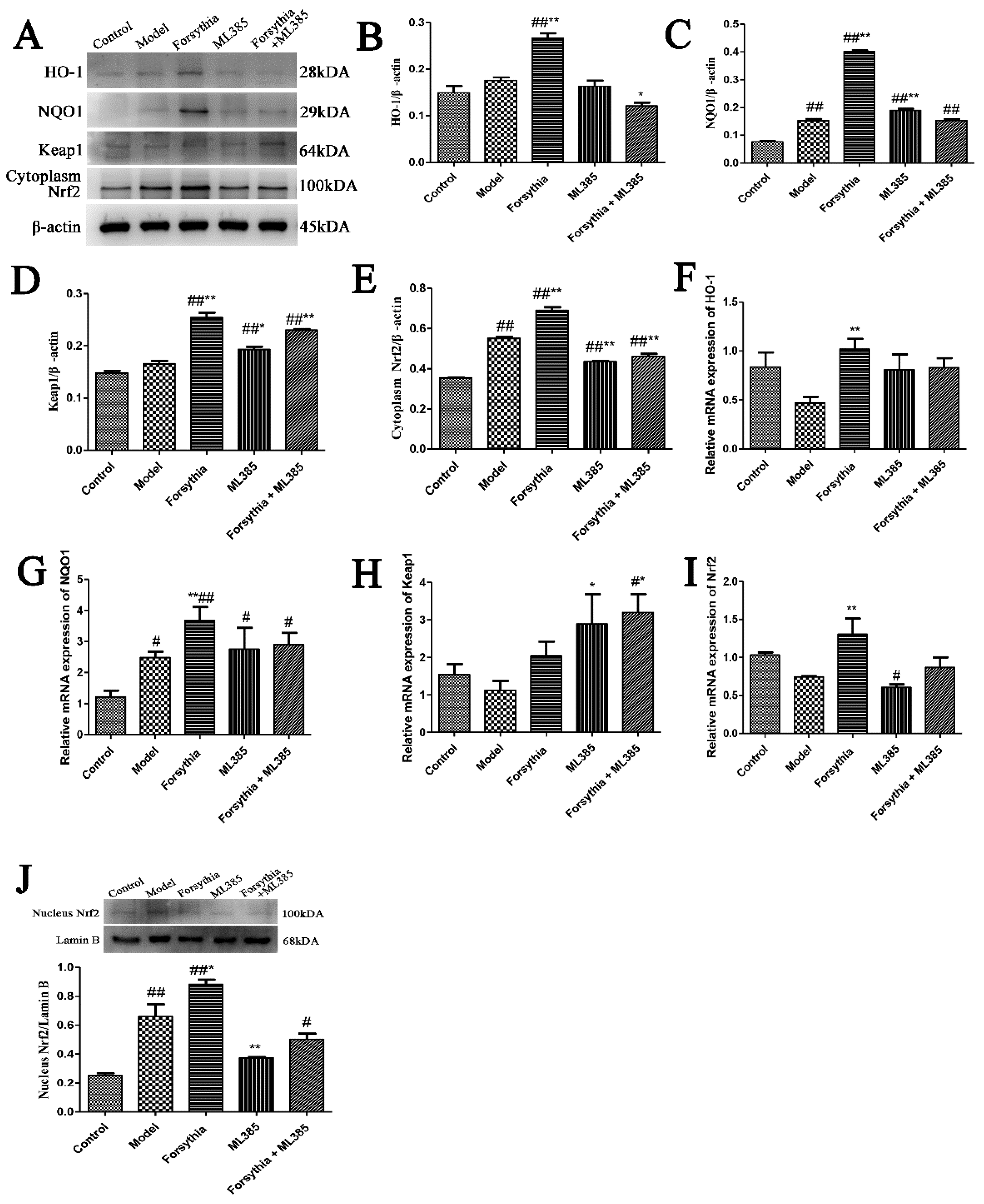 Antioxidants 11 00475 g009