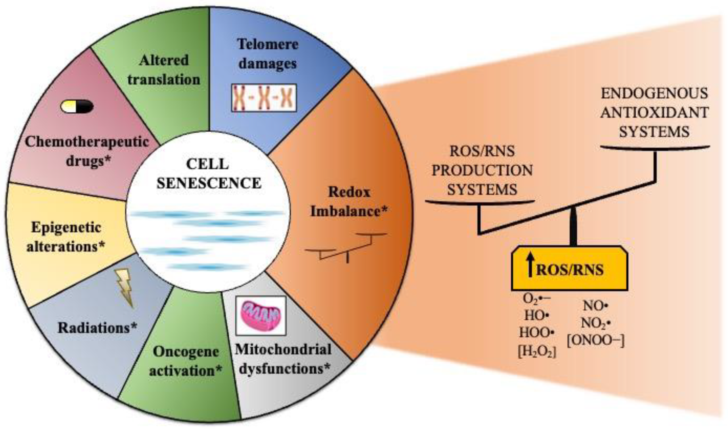 Antioxidants 11 00480 g001