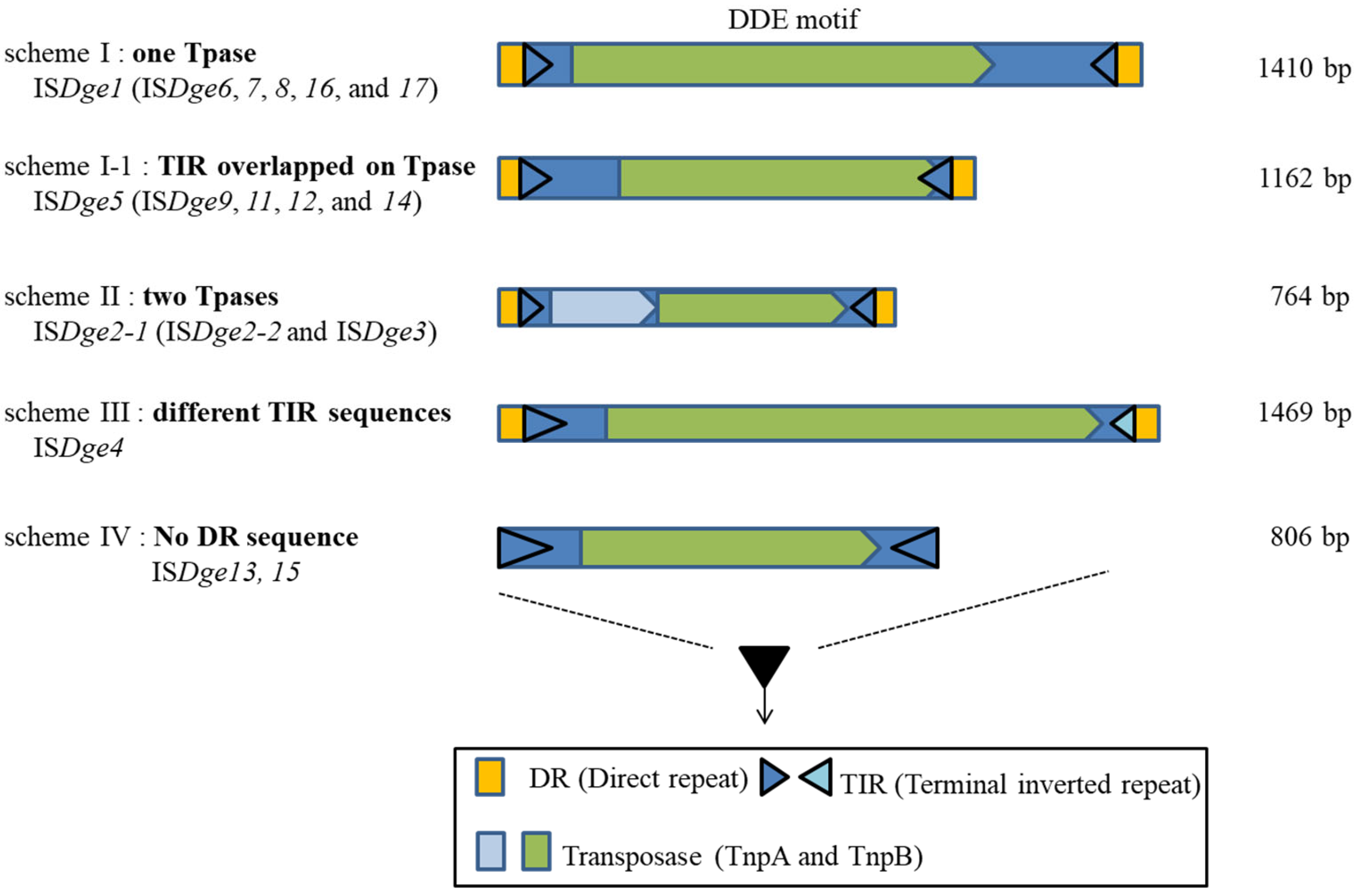Antioxidants 11 00481 g001