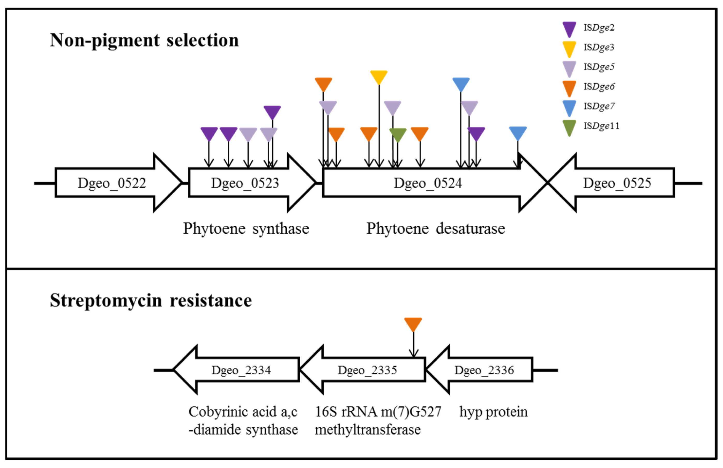 Antioxidants 11 00481 g002