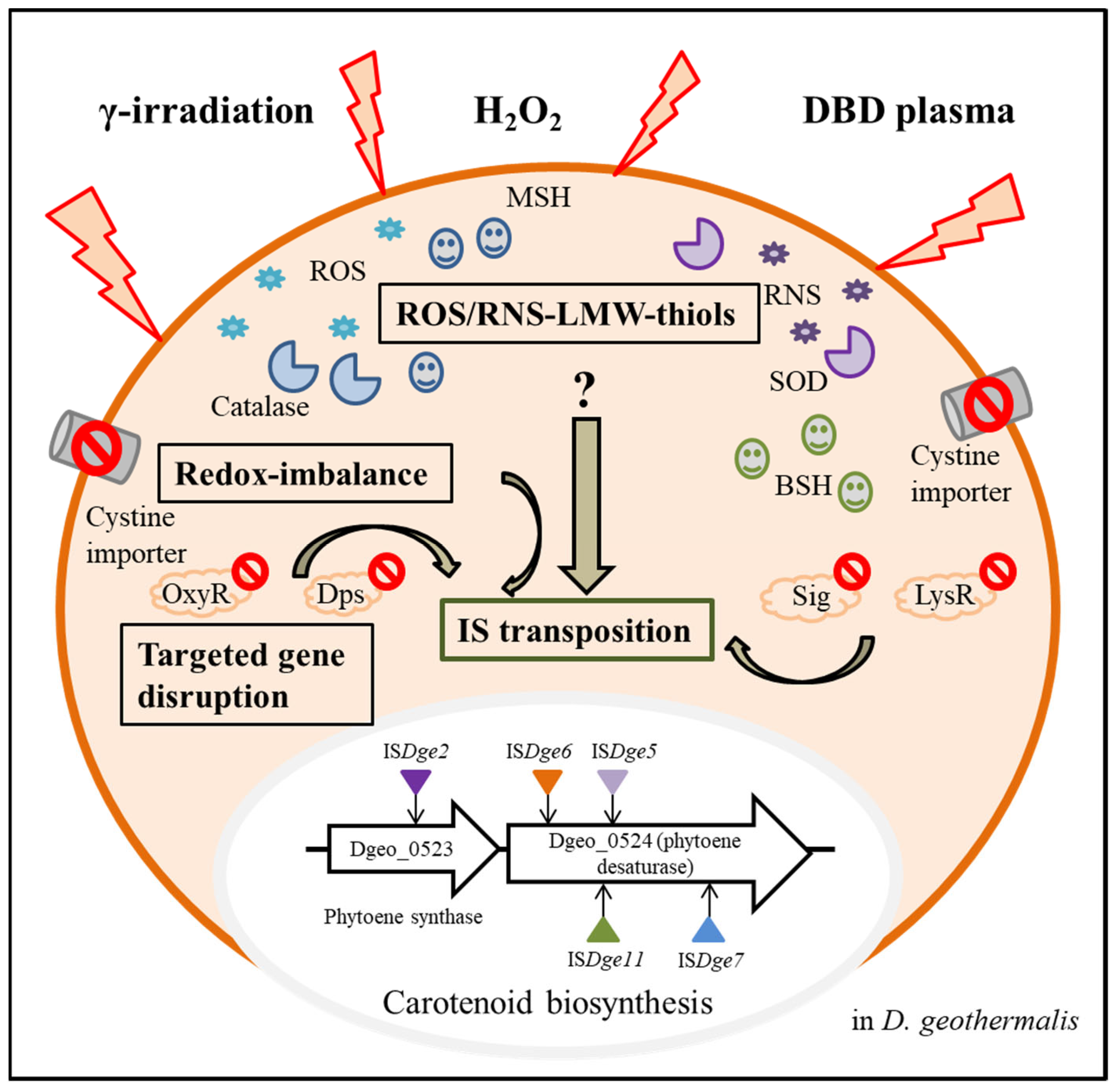 Antioxidants 11 00481 g003