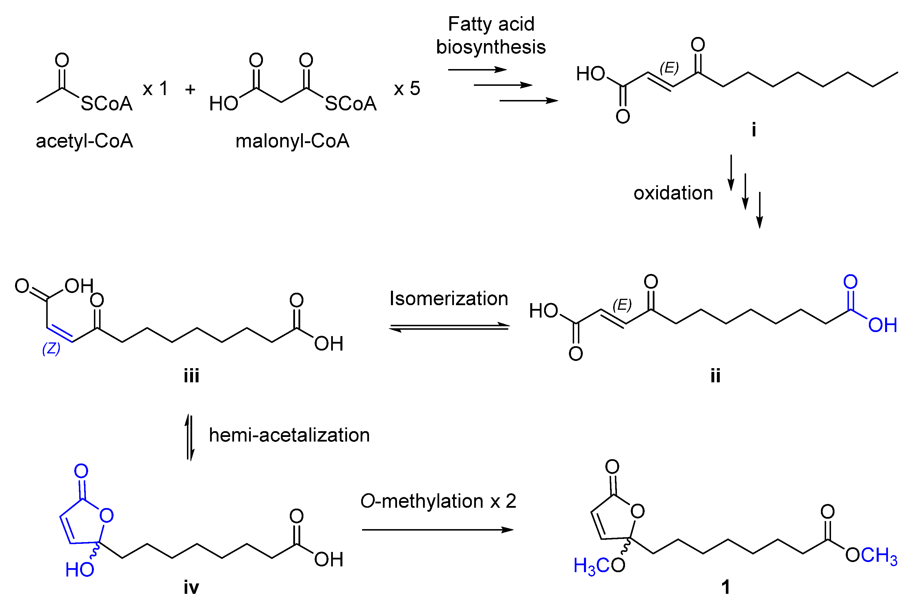 Antioxidants 11 00482 g003