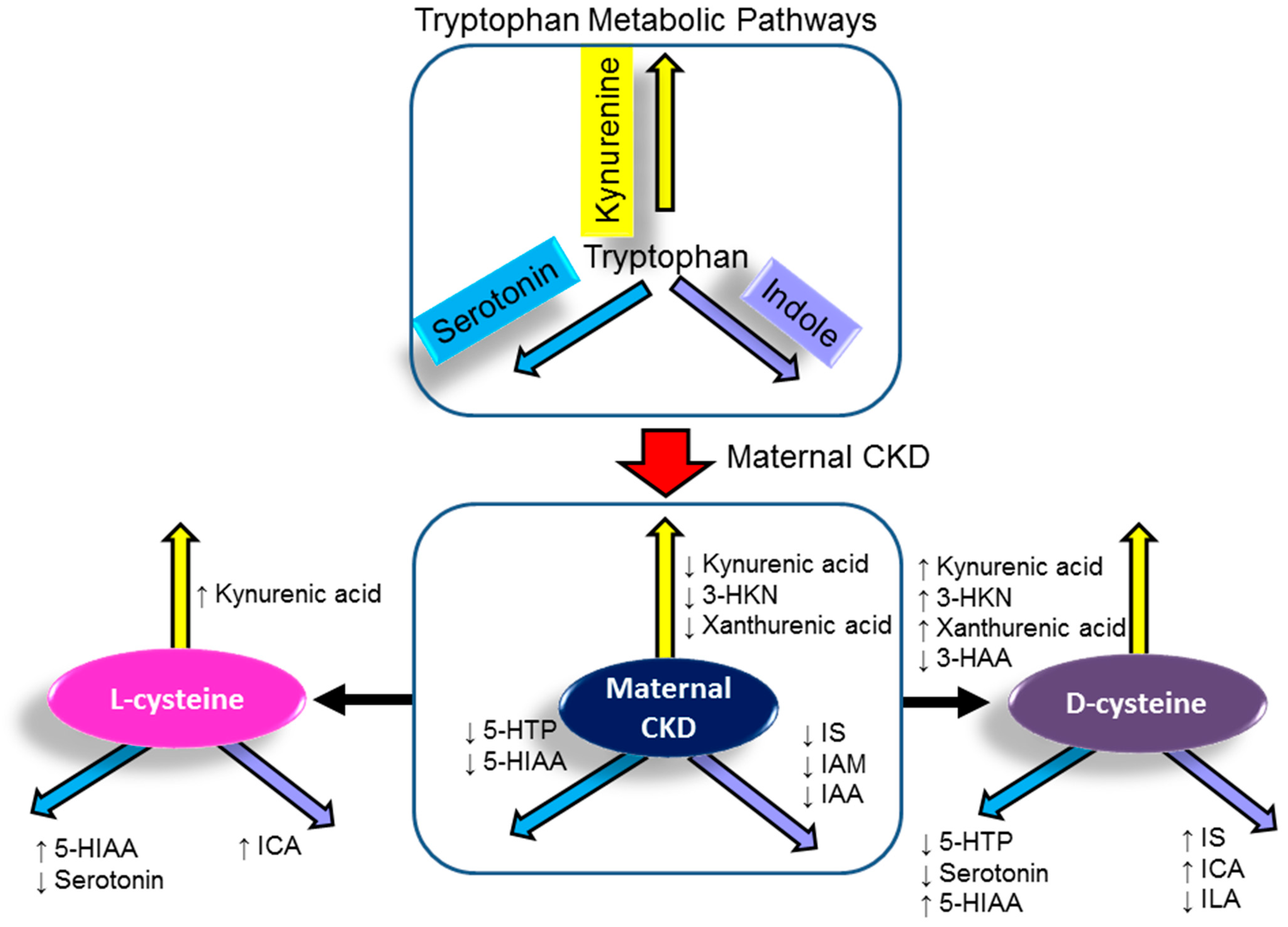 Antioxidants 11 00483 g003