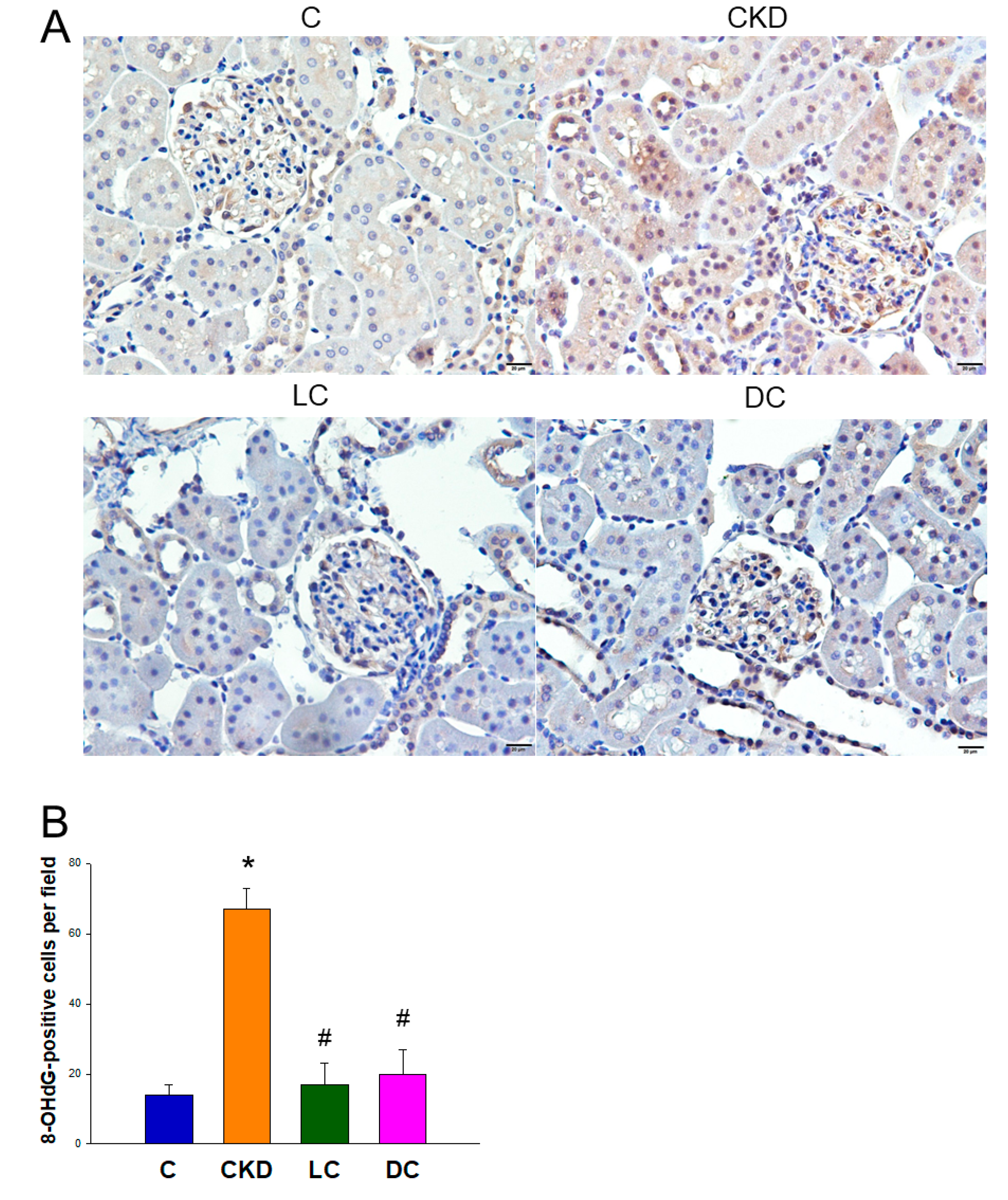Antioxidants 11 00483 g004