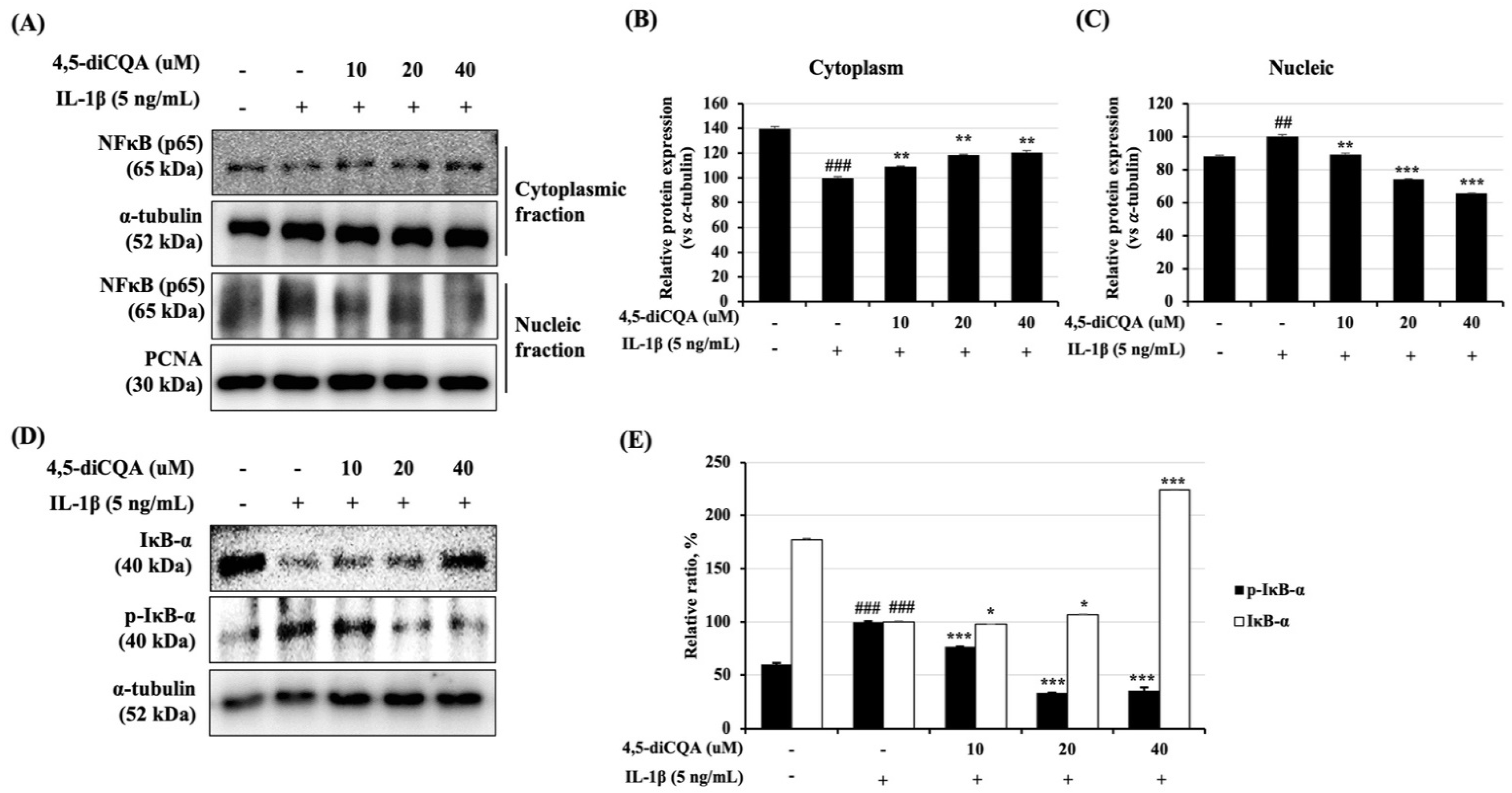 Antioxidants 11 00487 g005